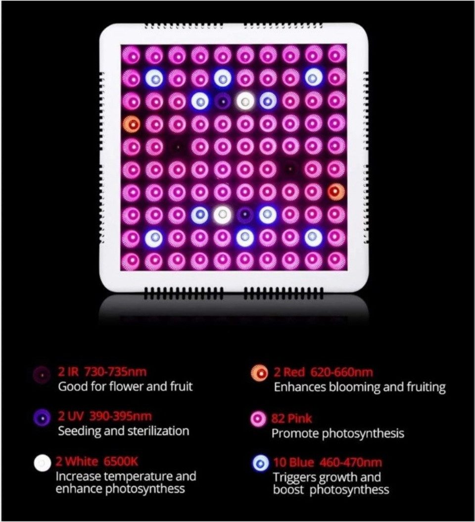 DOPWii Pflanzenlampe Vollspektrum 100 LEDs Grow günstig online kaufen