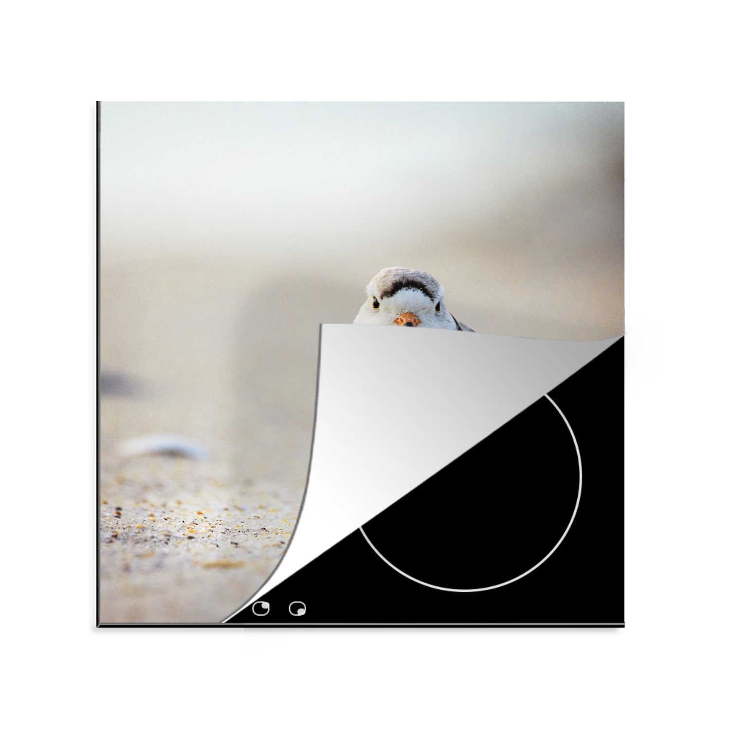 MuchoWow Herdblende-/Abdeckplatte Ein weißer Flussregenpfeifer schaut direkt in die Kamera, Vinyl, (1 tlg), 78x78 cm, Ceranfeldabdeckung, Arbeitsplatte für küche