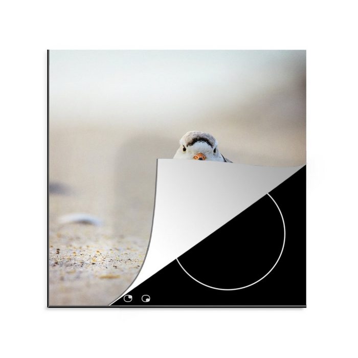 MuchoWow Herdblende-/Abdeckplatte Ein weißer Flussregenpfeifer schaut direkt in die Kamera Vinyl (1 tlg) Ceranfeldabdeckung Arbeitsplatte für küche