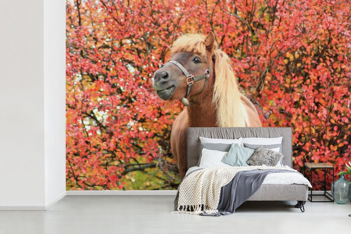 MuchoWow Herbstblätter, Schlafzimmer, St), Wohnzimmer, Wallpaper Vinyl Matt, Tapete (6 Pferd Pony - Fototapete - bedruckt, für Kinderzimmer,