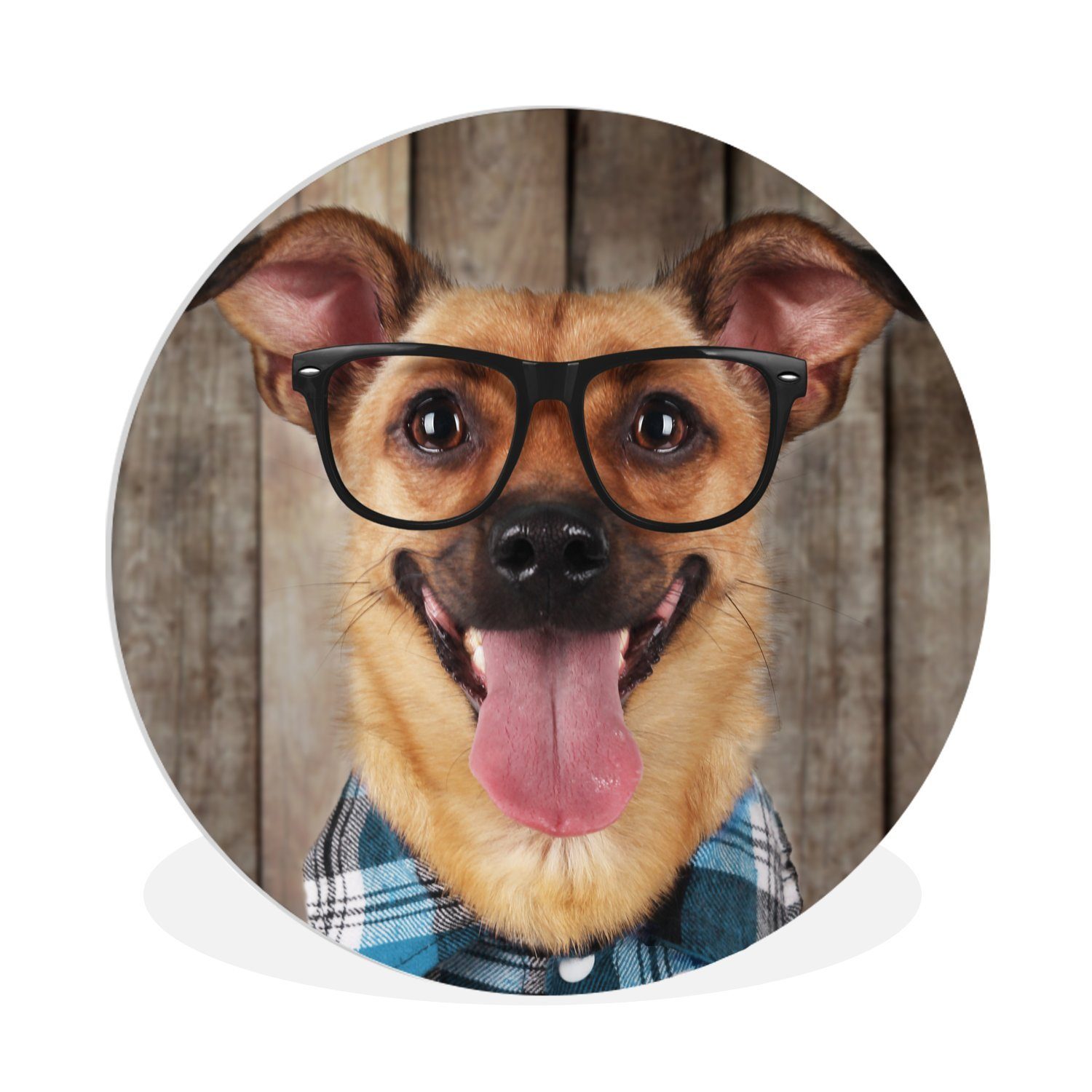 MuchoWow Gemälde Hund - Brille - Bluse - Hipster, (1 St), Kreis Wanddekoration Forex, Rundes Wandbild, Wohnzimmer, 30x30 cm