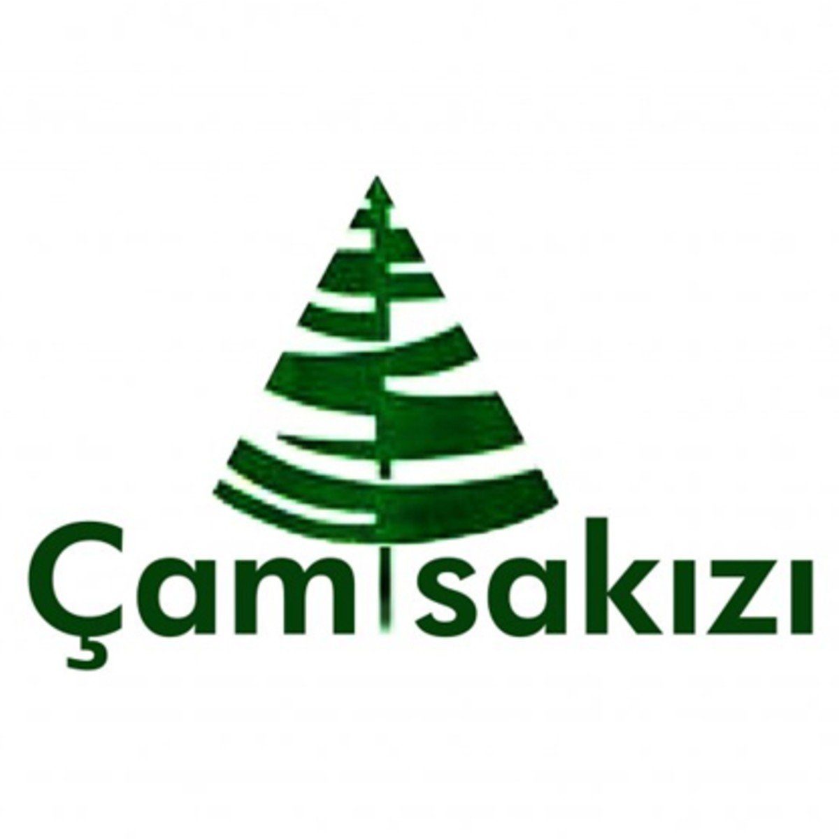 Camsakizi