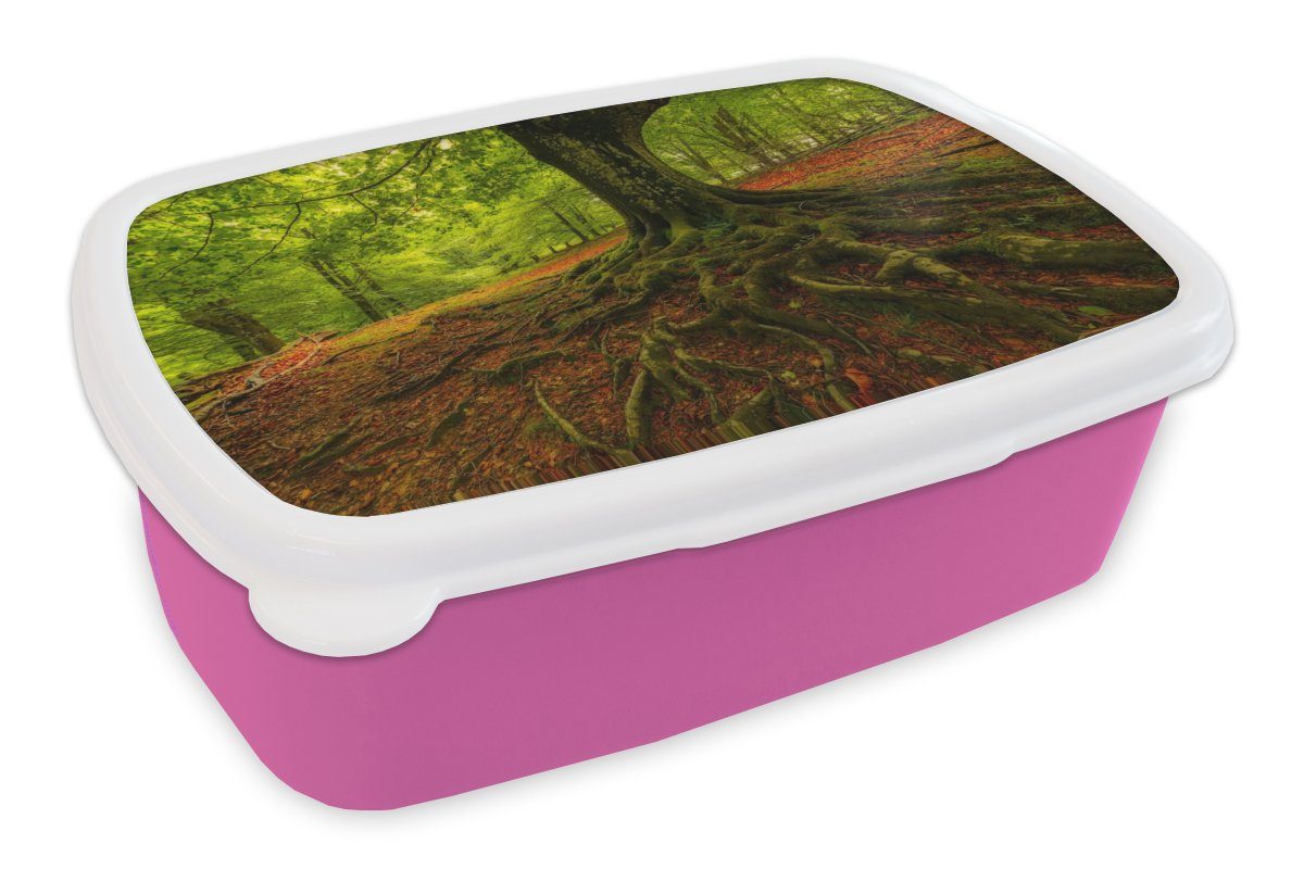 (2-tlg), Brotdose Snackbox, MuchoWow Kunststoff, Brotbox Wald Herbstblätter, Mädchen, Kunststoff Erwachsene, rosa - Lunchbox für Kinder, Baum -