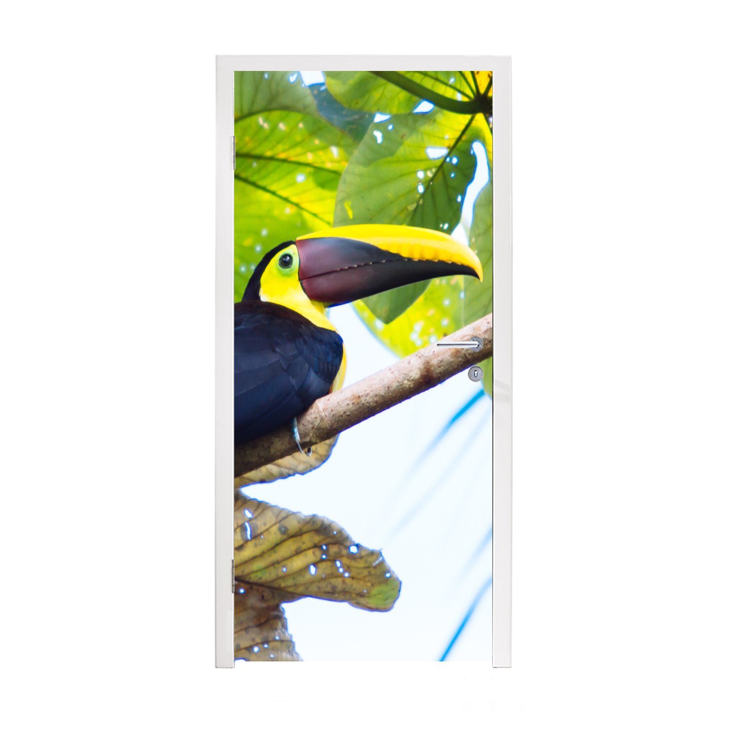 MuchoWow Türtapete Ein Tukan sitzt in der Sonne auf einem Baum, Matt, bedruckt, (1 St), Fototapete für Tür, Türaufkleber, 75x205 cm