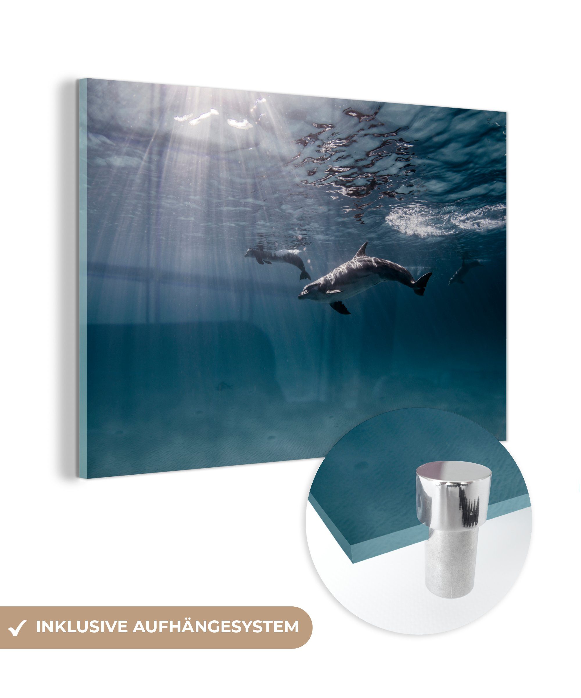 MuchoWow Acrylglasbild Delfin - Sonne - Meer, (1 St), Acrylglasbilder Wohnzimmer & Schlafzimmer