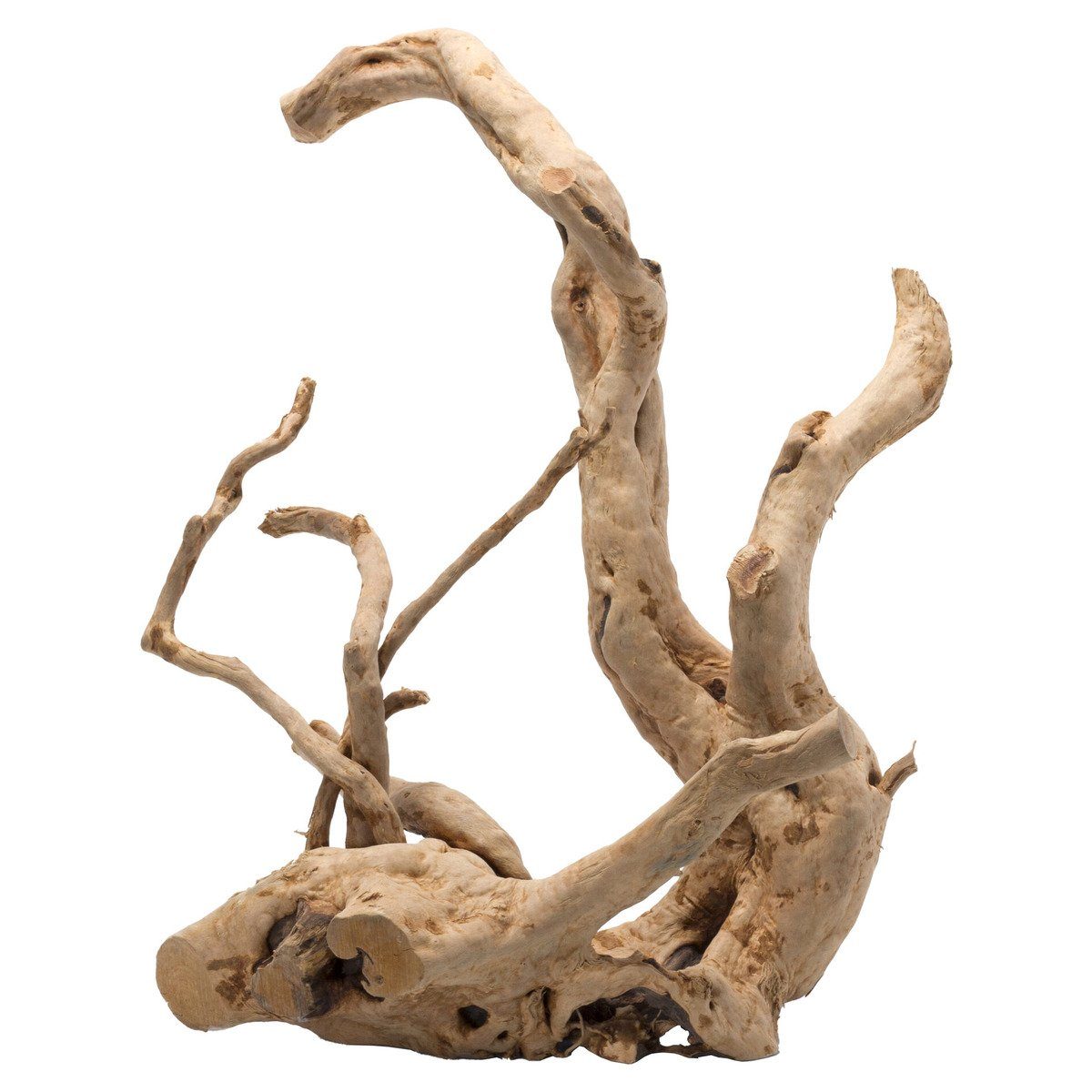 Europet-Bernina Aquariendeko Aquarium Dekoration Driftwood poliert braun