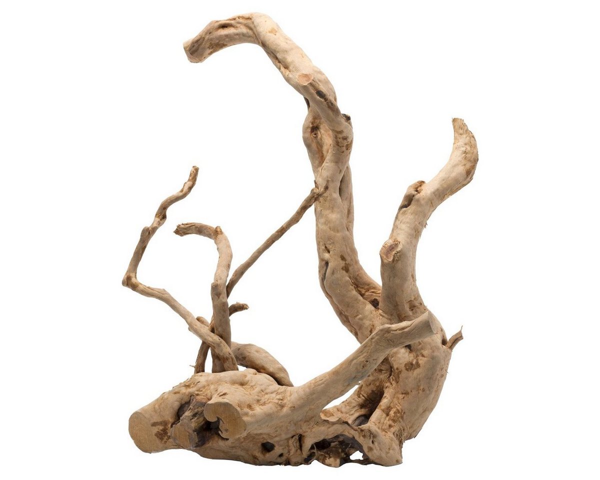 Thumbnail - Europet-Bernina Aquariendeko Aquarium Dekoration Driftwood poliert braun