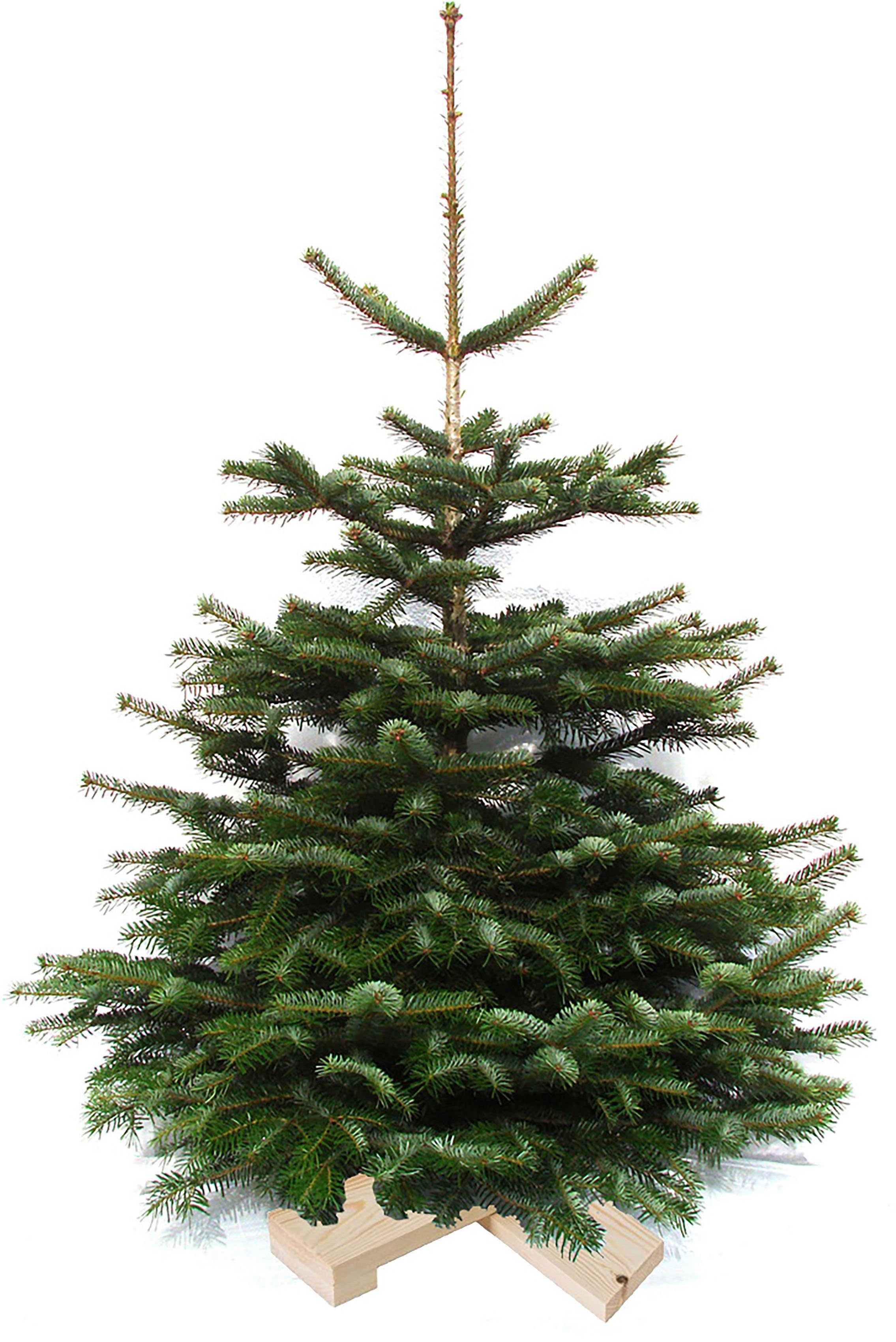 Weihnachtsbaum montiert, 120 Weihnachtsdeko, auf Holzkreuz 100 Weihnachtsbaumland Echter ca. Höhe Nordmanntanne, bis cm Nordmanntanne