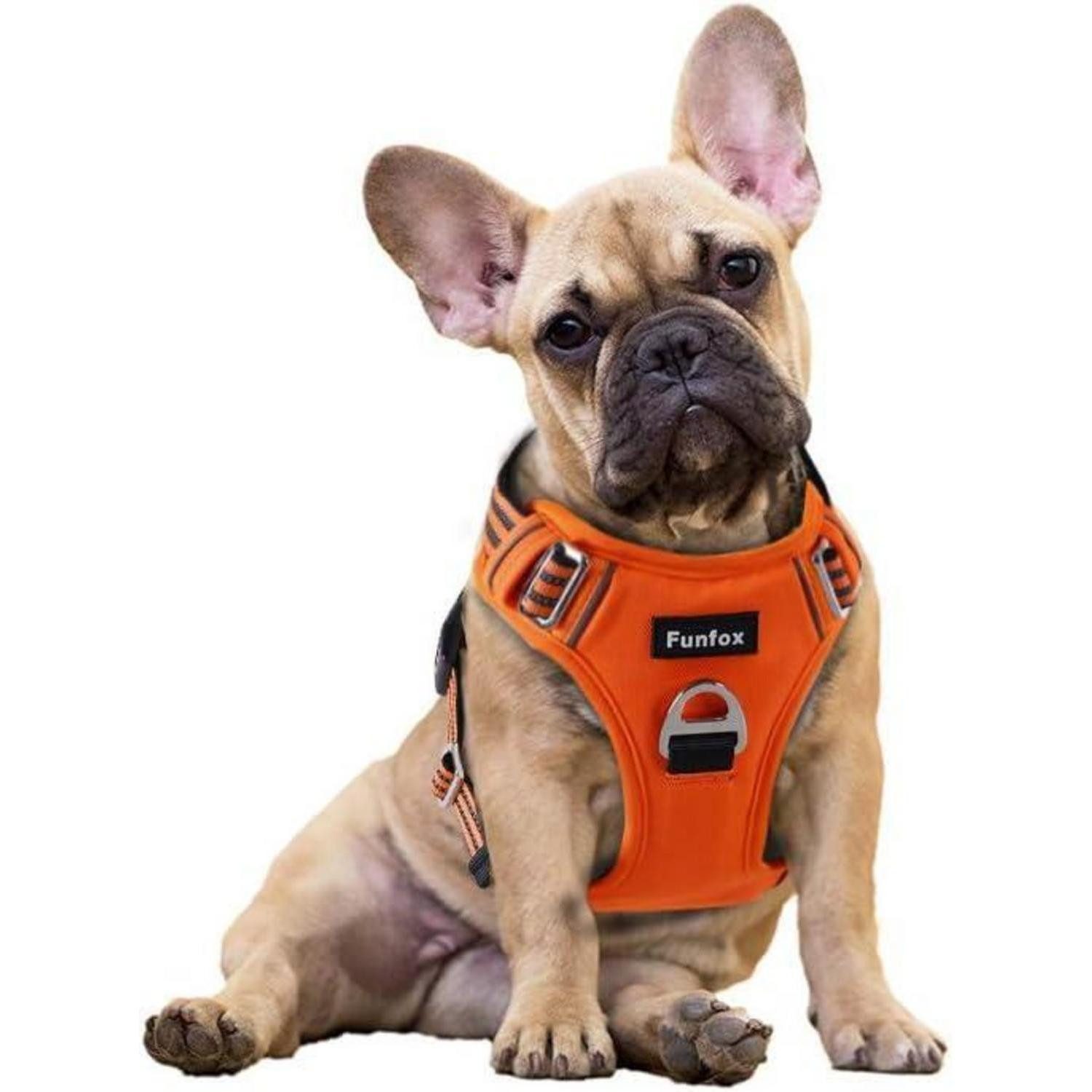 LuxusKollektion Hunde-Sicherheitsgeschirr Hundegeschirr No Pull Brustgeschirr Ringreflektoren Griff S Orange