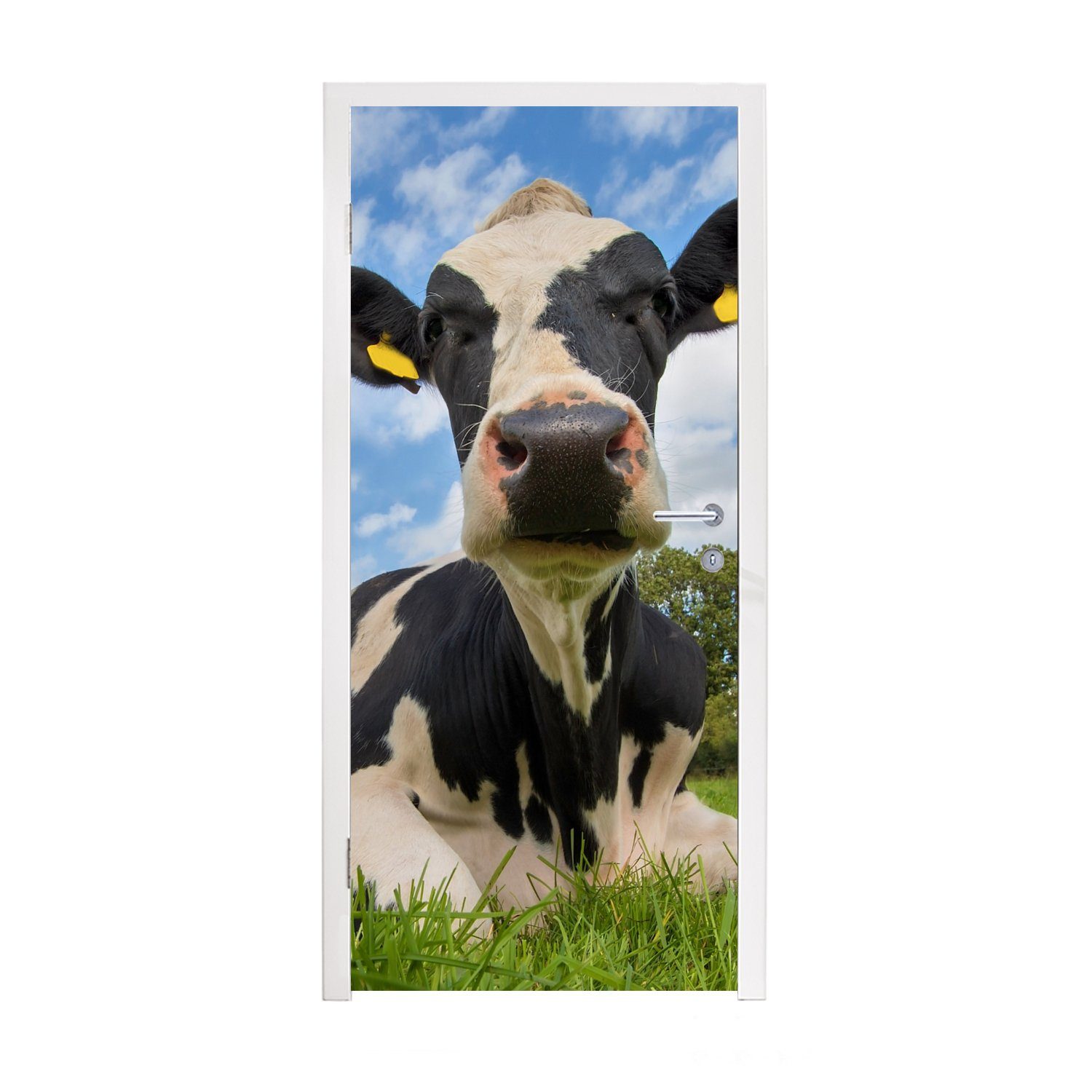 MuchoWow Türtapete Kuh - Gras - Himmel, Matt, bedruckt, (1 St), Fototapete für Tür, Türaufkleber, 75x205 cm