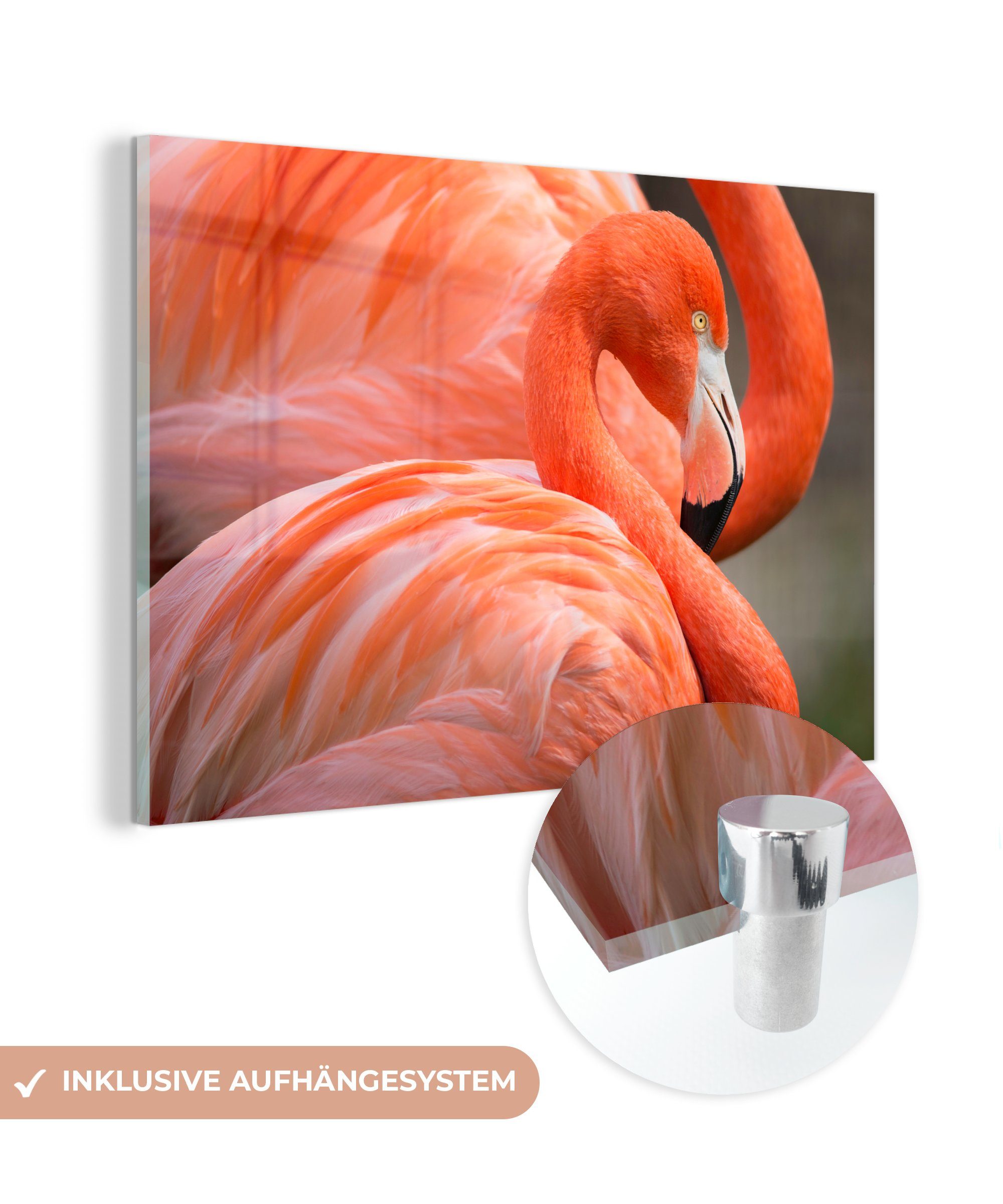 (1 & Wohnzimmer St), Zwei Acrylglasbild nebeneinander, Flamingos MuchoWow Schlafzimmer stehen Acrylglasbilder