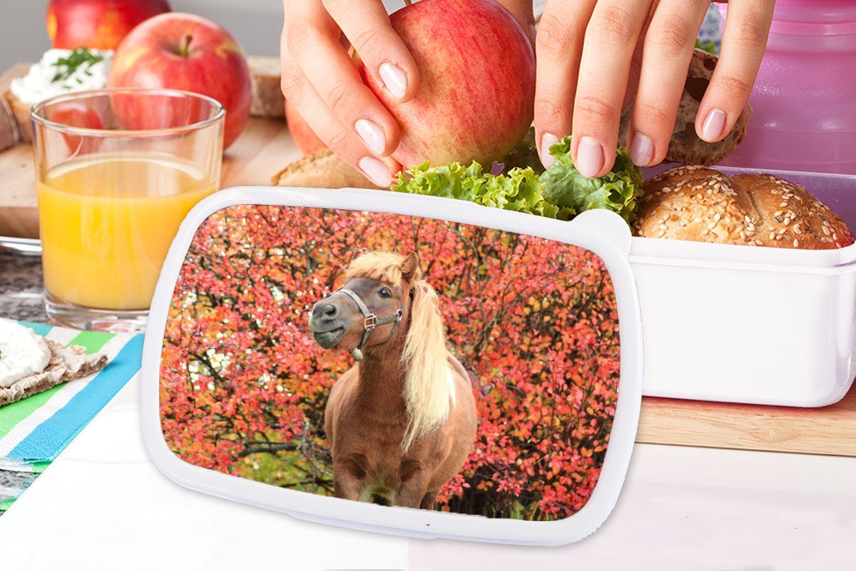 Kunststoff, und - (2-tlg), Pony - weiß Brotdose, Jungs Erwachsene, für Herbstblätter, Pferd Brotbox MuchoWow und Kinder Lunchbox für Mädchen