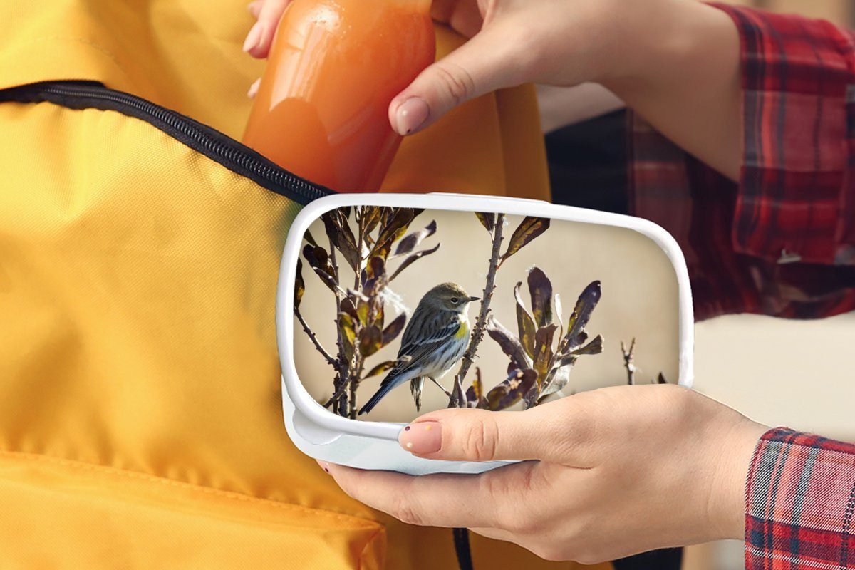 MuchoWow Lunchbox zwischen und für einem (2-tlg), Mädchen Erwachsene, weiß Zweig Brotdose, mit Brotbox Jungs Kunststoff, Blättern, für und Vogel Kinder