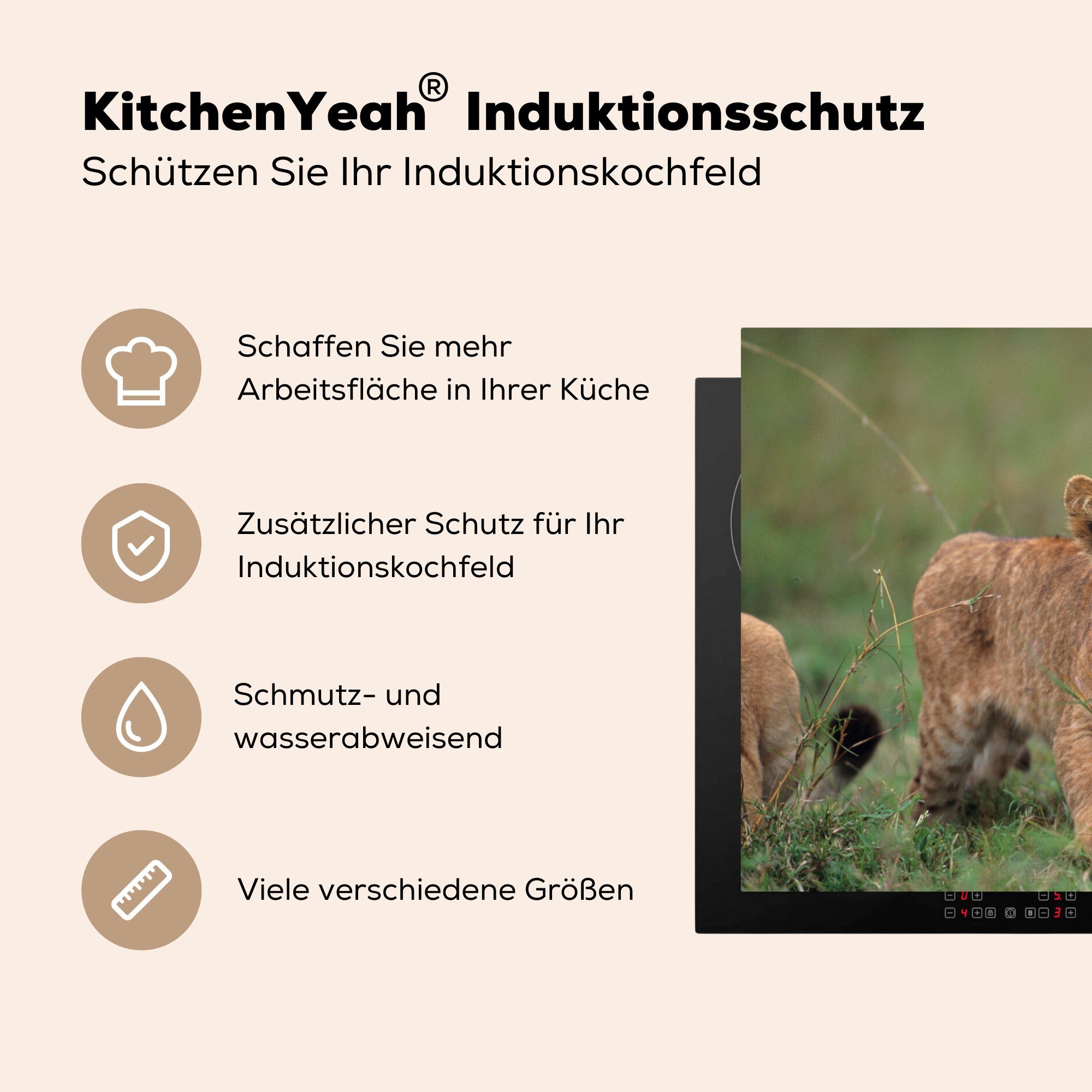 MuchoWow Herdblende-/Abdeckplatte Löwe tlg), Vinyl, Induktionskochfeld (1 die - Schutz küche, 81x52 Jungtier für - Ceranfeldabdeckung cm, Wild