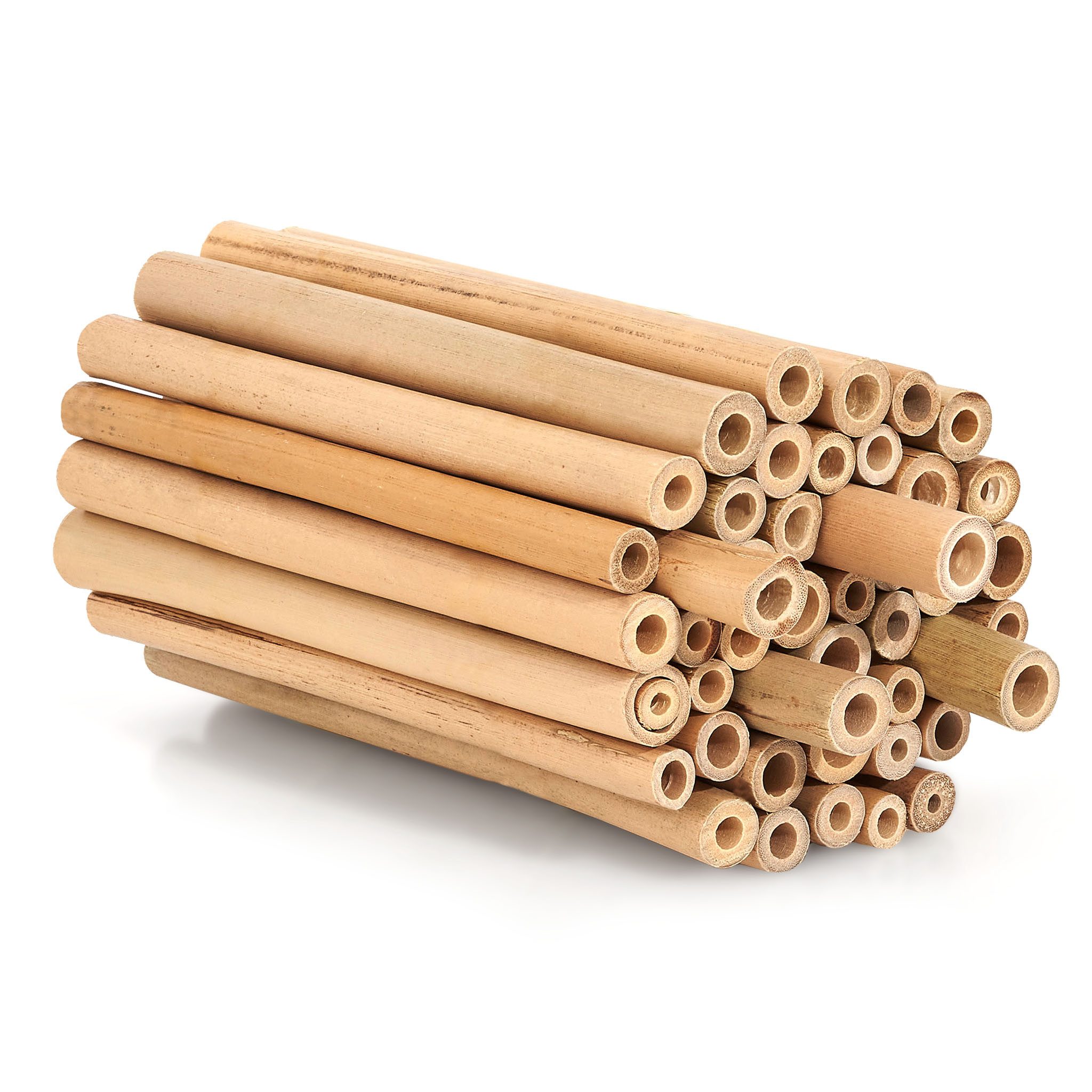BEESI Insektenhotel Bambusröhrchen 100 Stk 10 cm – Füllmaterial, (Insektenhaus für Wildbienen, 100-St., I Wildbienenhotel Nisthülsen Bienenhotel), 10 cm