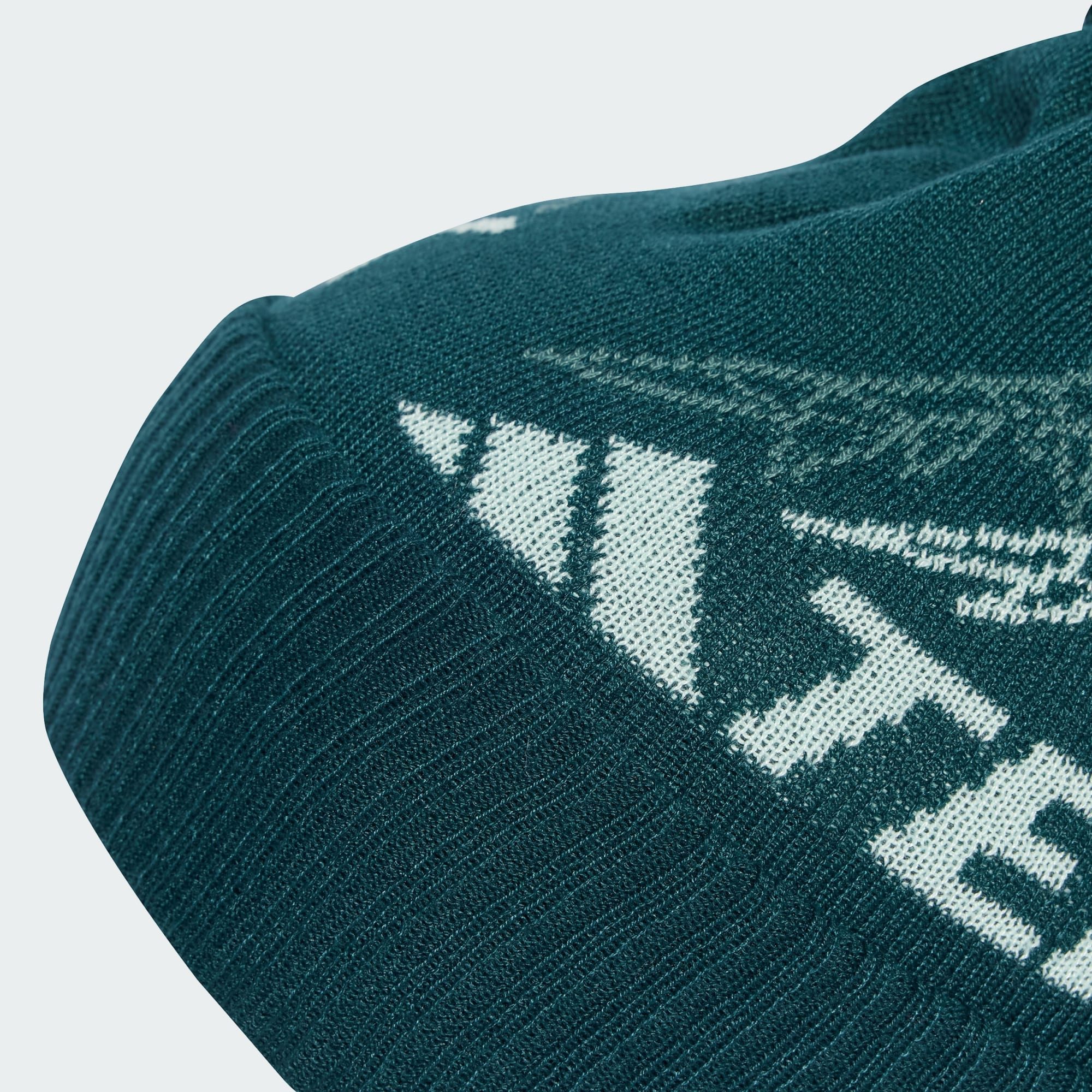 adidas TERREX Beanie TERREX XPLORIC POM POM BEANIE (1-St)