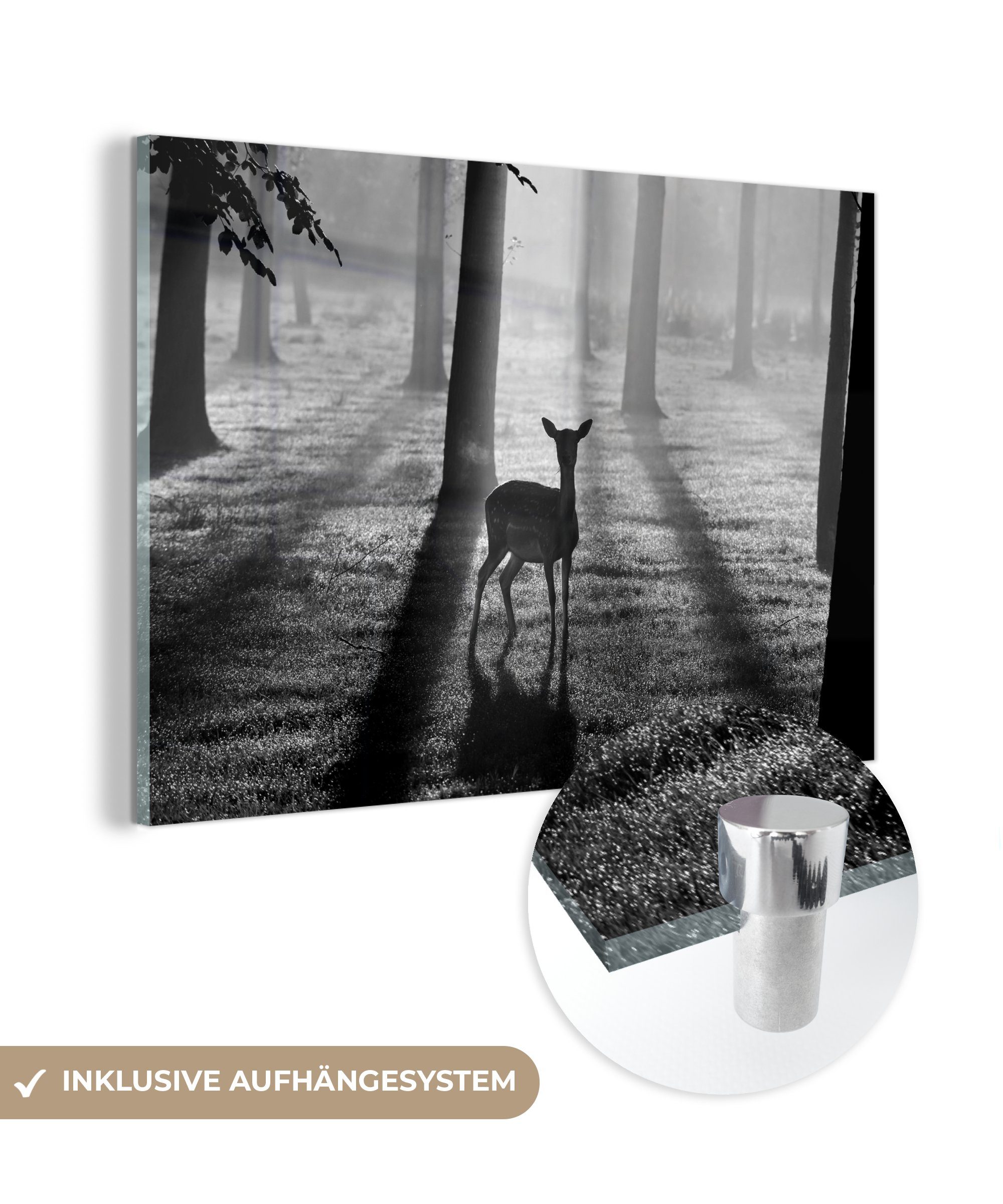 MuchoWow Acrylglasbild Hirsch bei Sonnenaufgang - schwarz und weiß, (1 St), Acrylglasbilder Wohnzimmer & Schlafzimmer