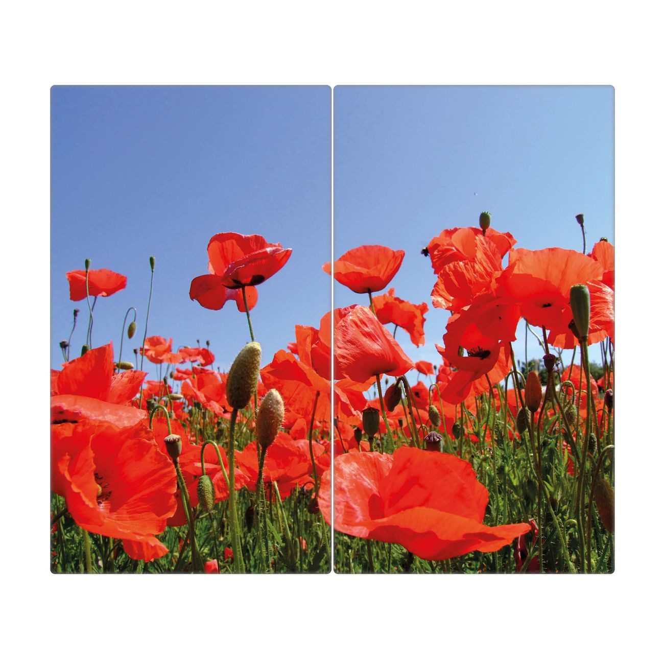 banjado Herd-Abdeckplatte zweiteilig aus Glas mit Motiv Mohnblumen, (gehärtet, 2 tlg., inkl. selbstklebende Gummifüßchen)