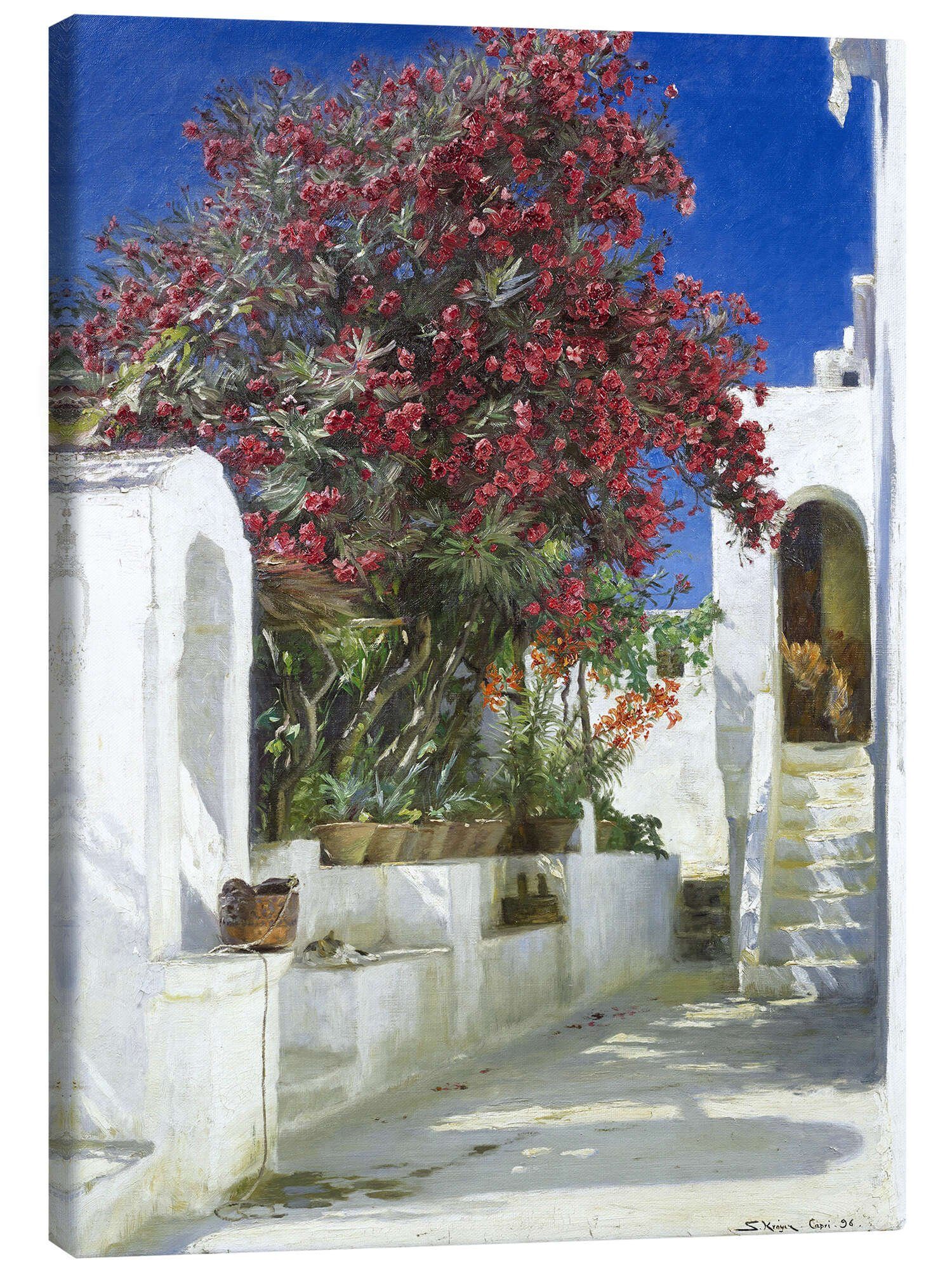 Posterlounge Wandbild Oleander in voller Blüte, Peder Severin Krøyer, erhältlich als Poster, Leinwandbild, Wandsticker oder Acrylglasbild