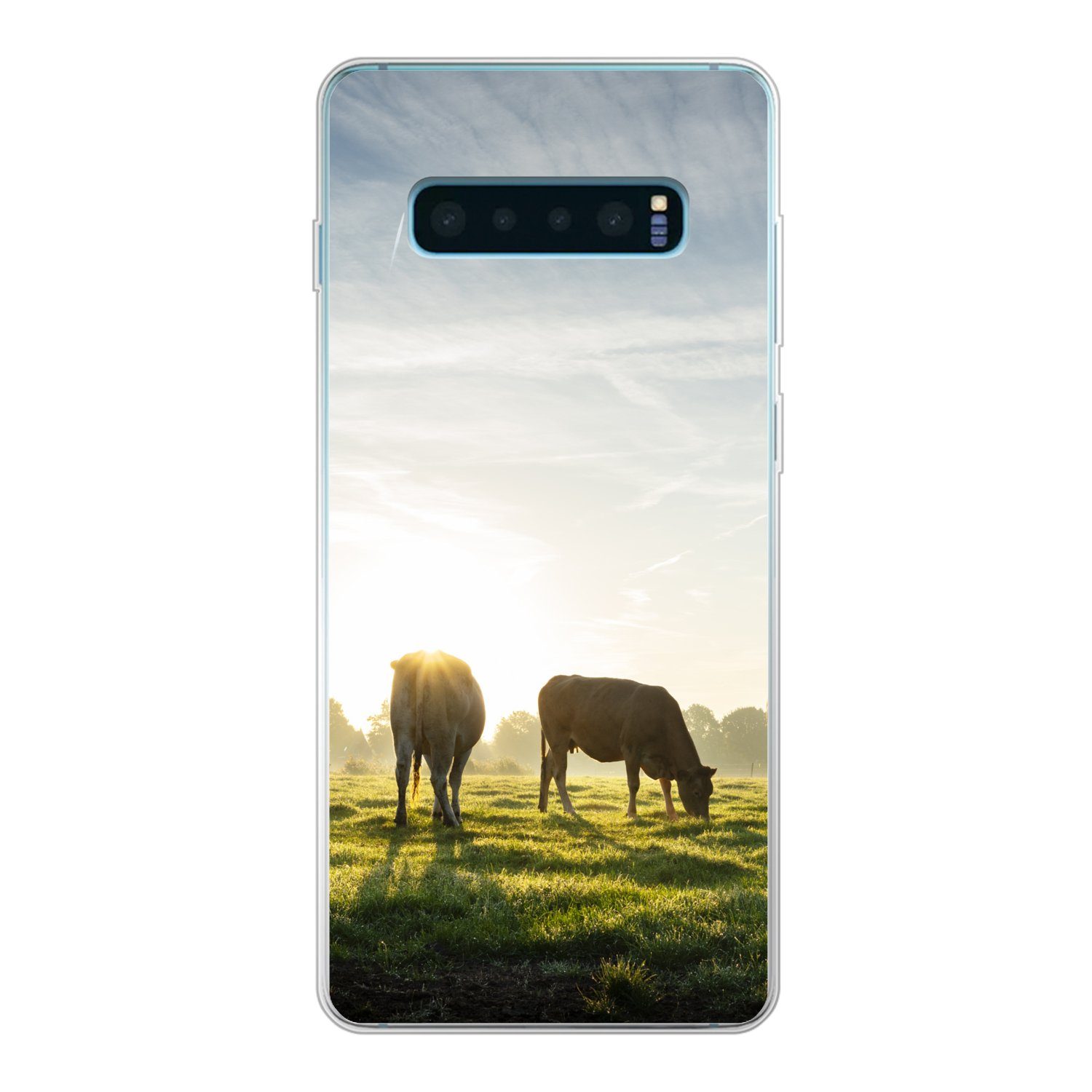 Handyhülle Kühe - Sonne - Gras