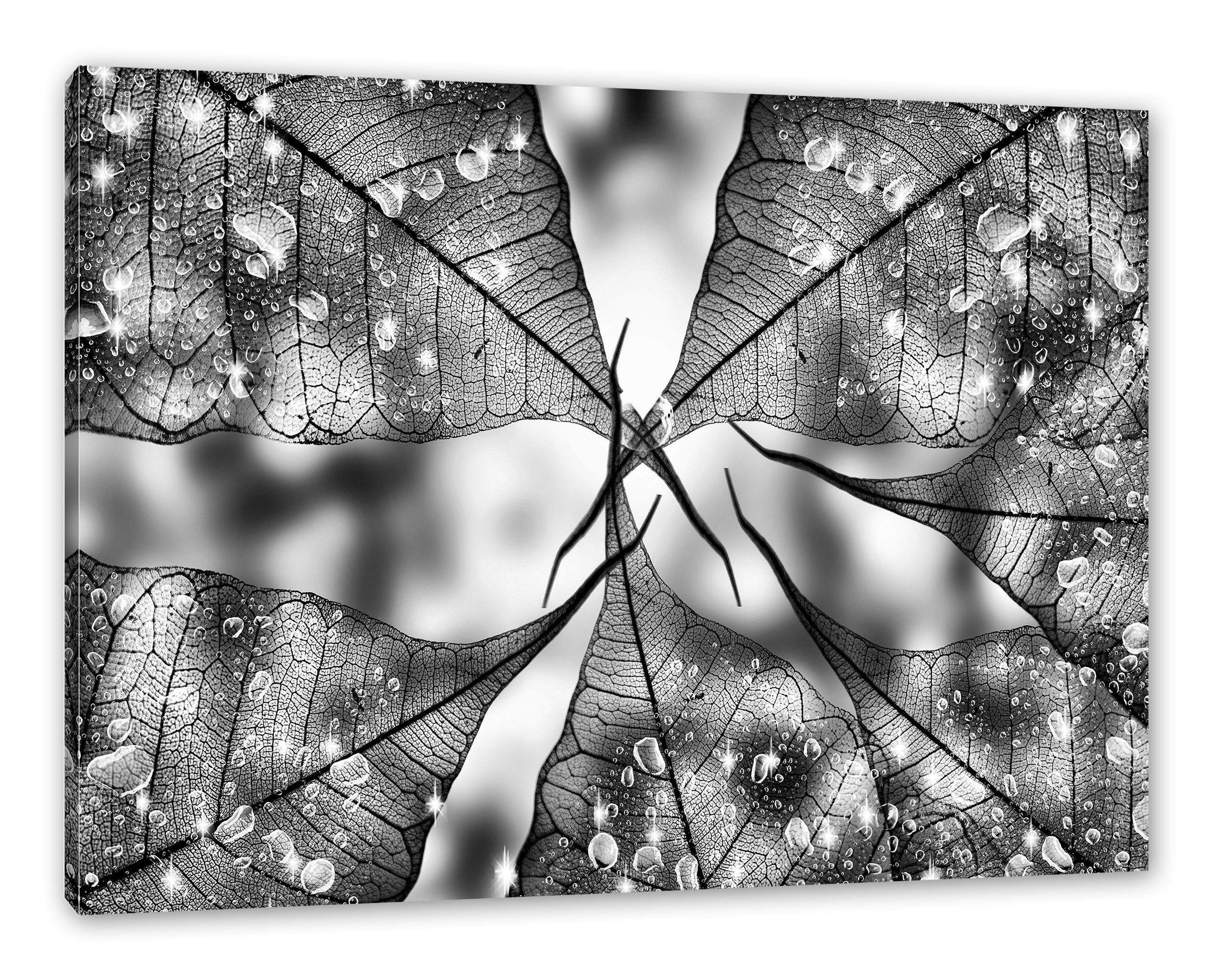 Pixxprint Leinwandbild Grüne inkl. St), (1 bespannt, Zackenaufhänger Blätter Leinwandbild fertig Blätter, Grüne