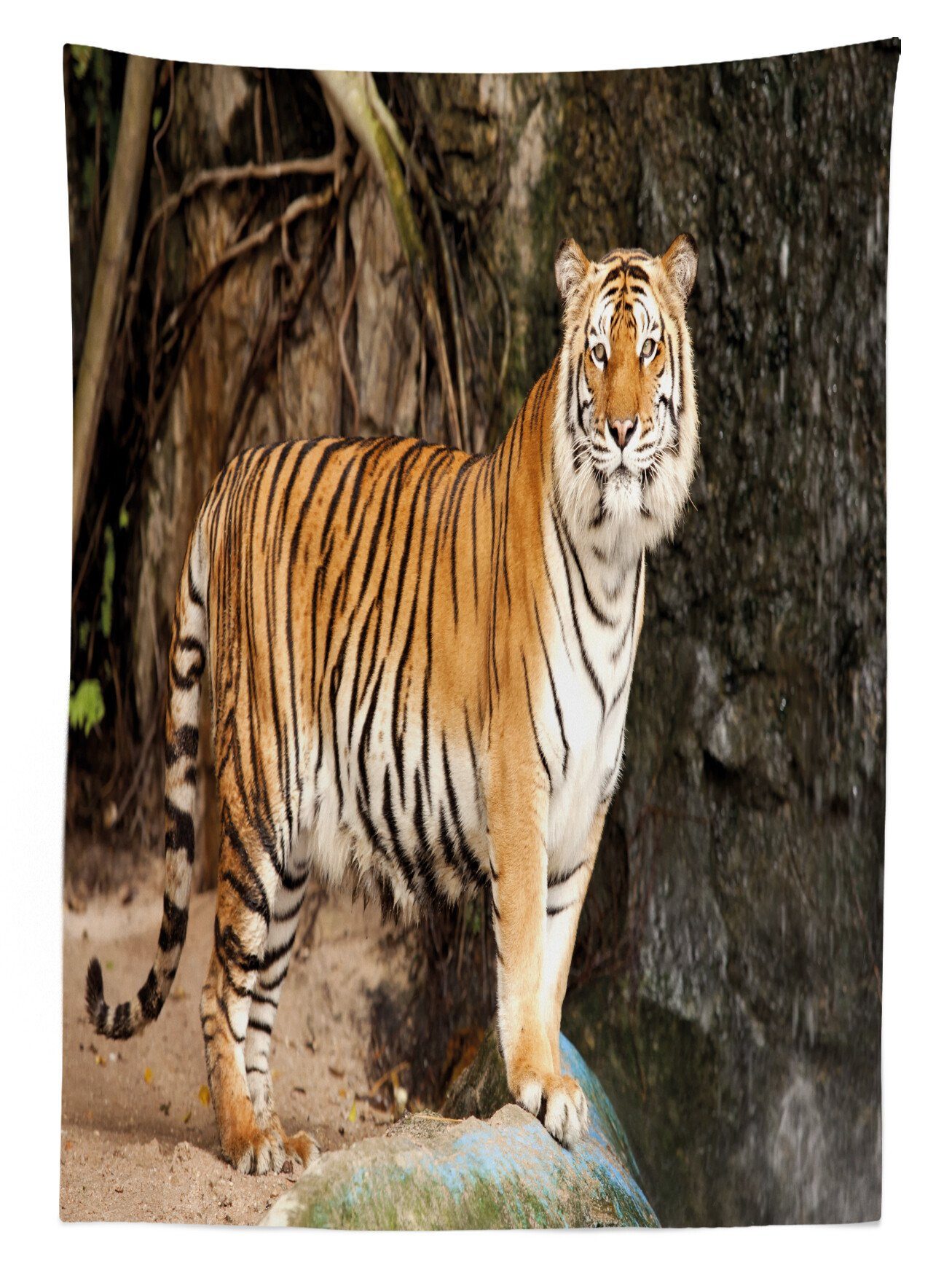Tiger Königlichen Klare Abakuhaus Alert geeignet Außen Waschbar Farbfest Feline Bereich Farben, Tischdecke Wütend den Für