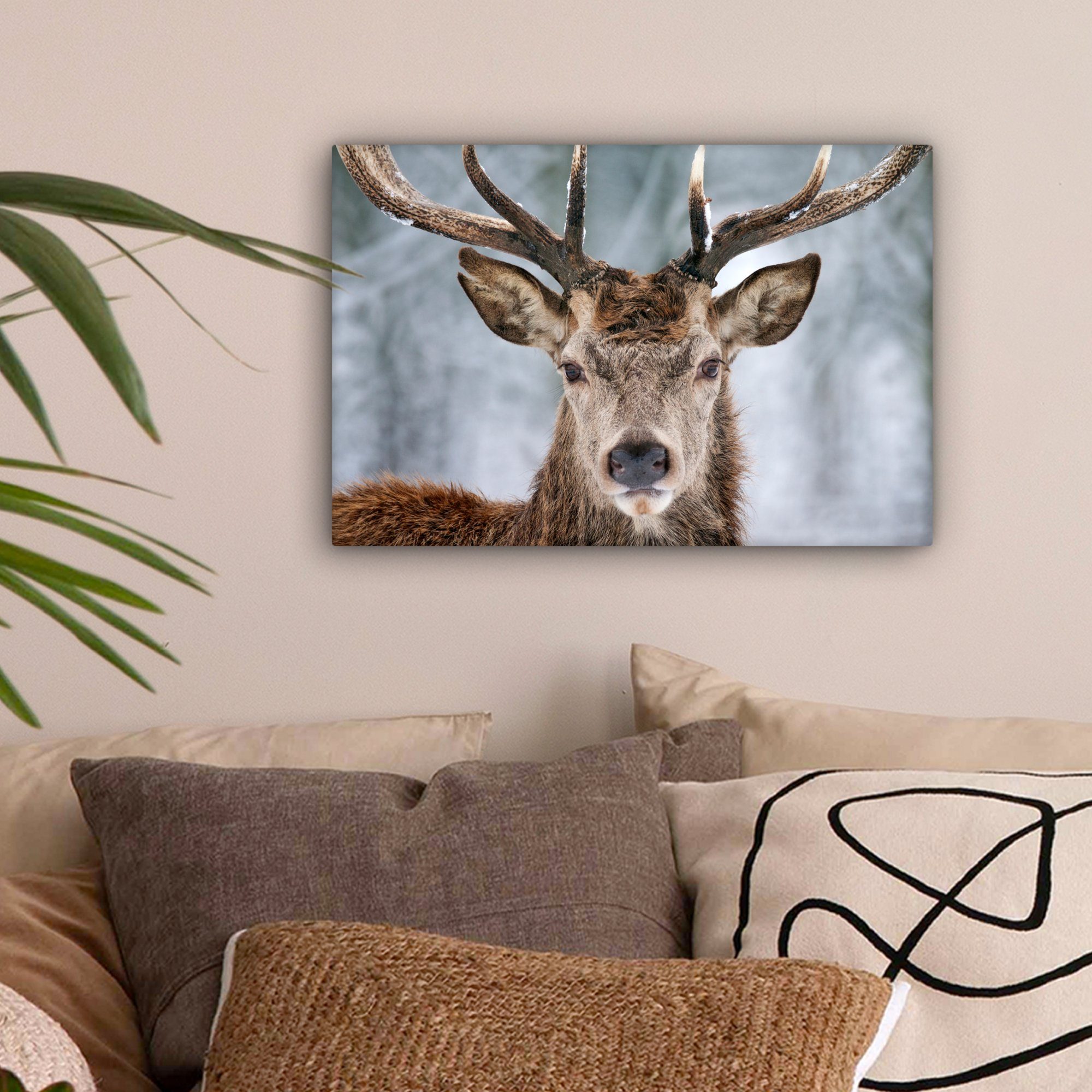 OneMillionCanvasses® Leinwandbild Hirsche - Geweihe - günstig online kaufen