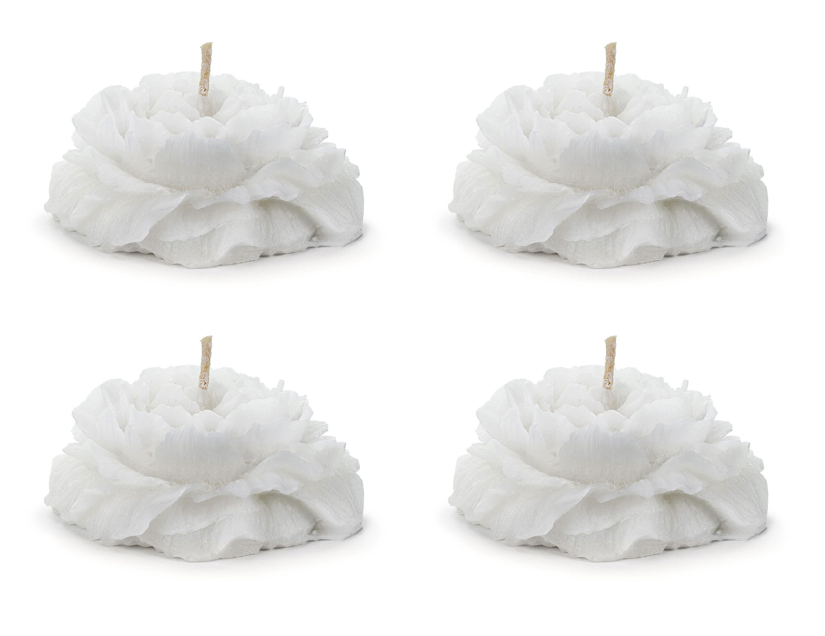 partydeco Schwimmkerze, Schwimmkerzen Pfingstrose Wachs 4x8cm günstig online kaufen