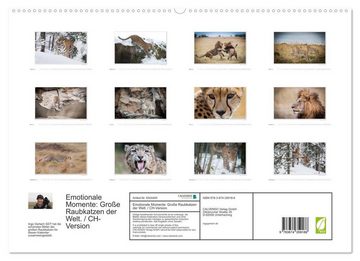 CALVENDO Wandkalender Emotionale Momente: Große Raubkatzen der Welt.CH-Version (Premium, hochwertiger DIN A2 Wandkalender 2023, Kunstdruck in Hochglanz)