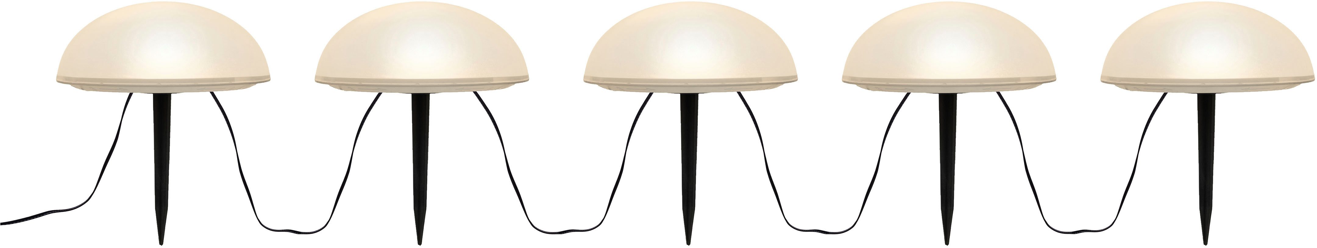 my home LED Solarleuchte Primala, LED-Solar Gartensteckerr, 5er Set, halbku günstig online kaufen