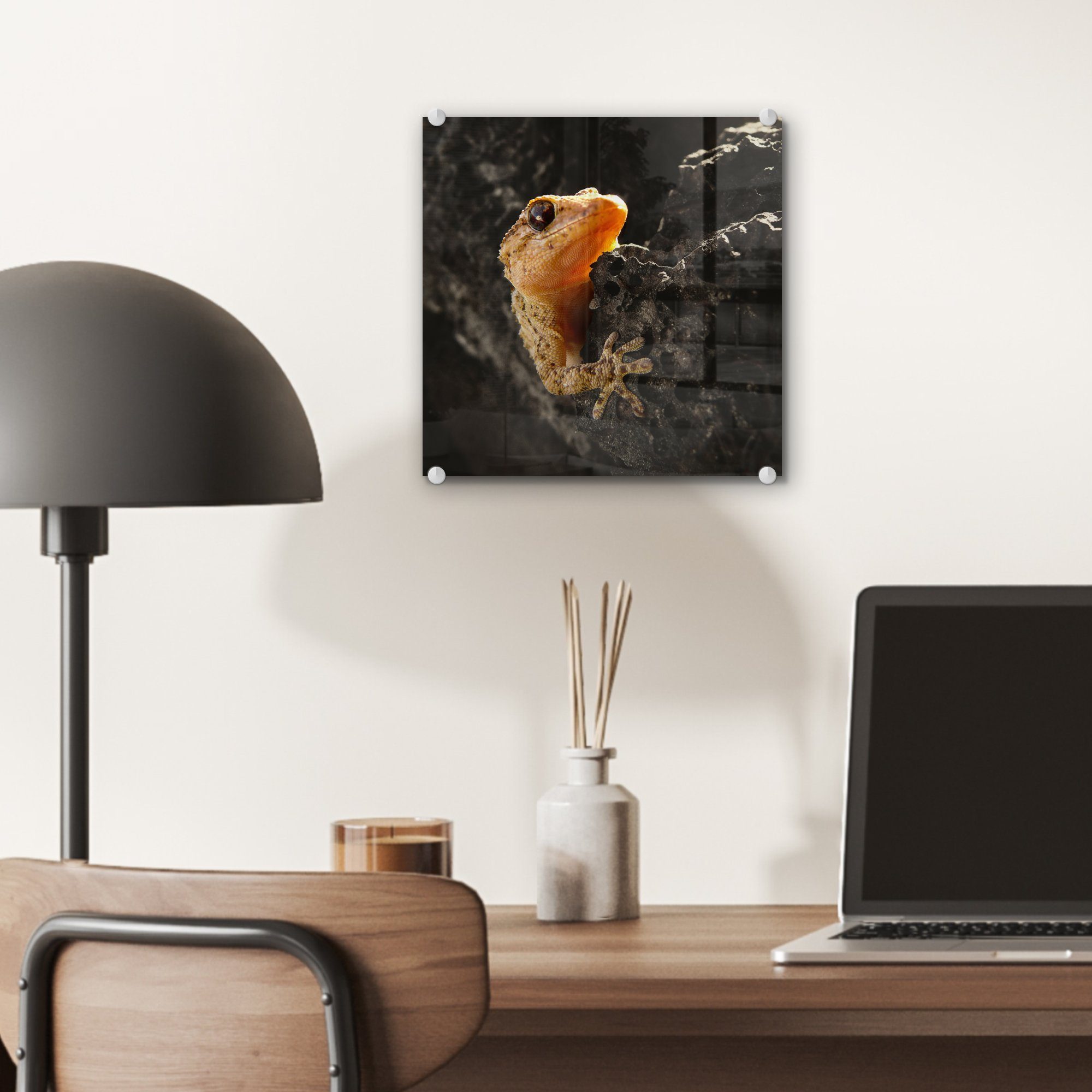 (1 - Gecko Acrylglasbild einem Foto Felsen, - sitzt Glasbilder Wandbild Wanddekoration auf Glas - Bilder Glas auf St), auf MuchoWow Orangefarbener
