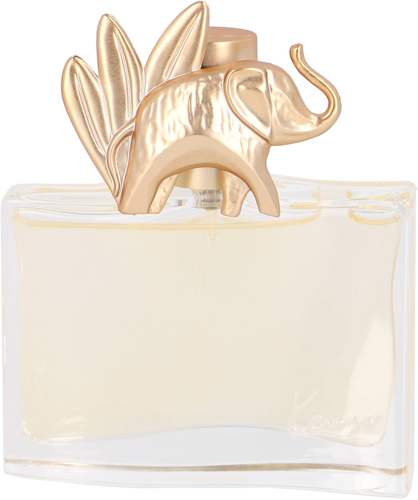 KENZO Eau de Parfum Jungle, Orientalischer Duft mit Gewürznelke, Kümmel, Mango und Vanille.