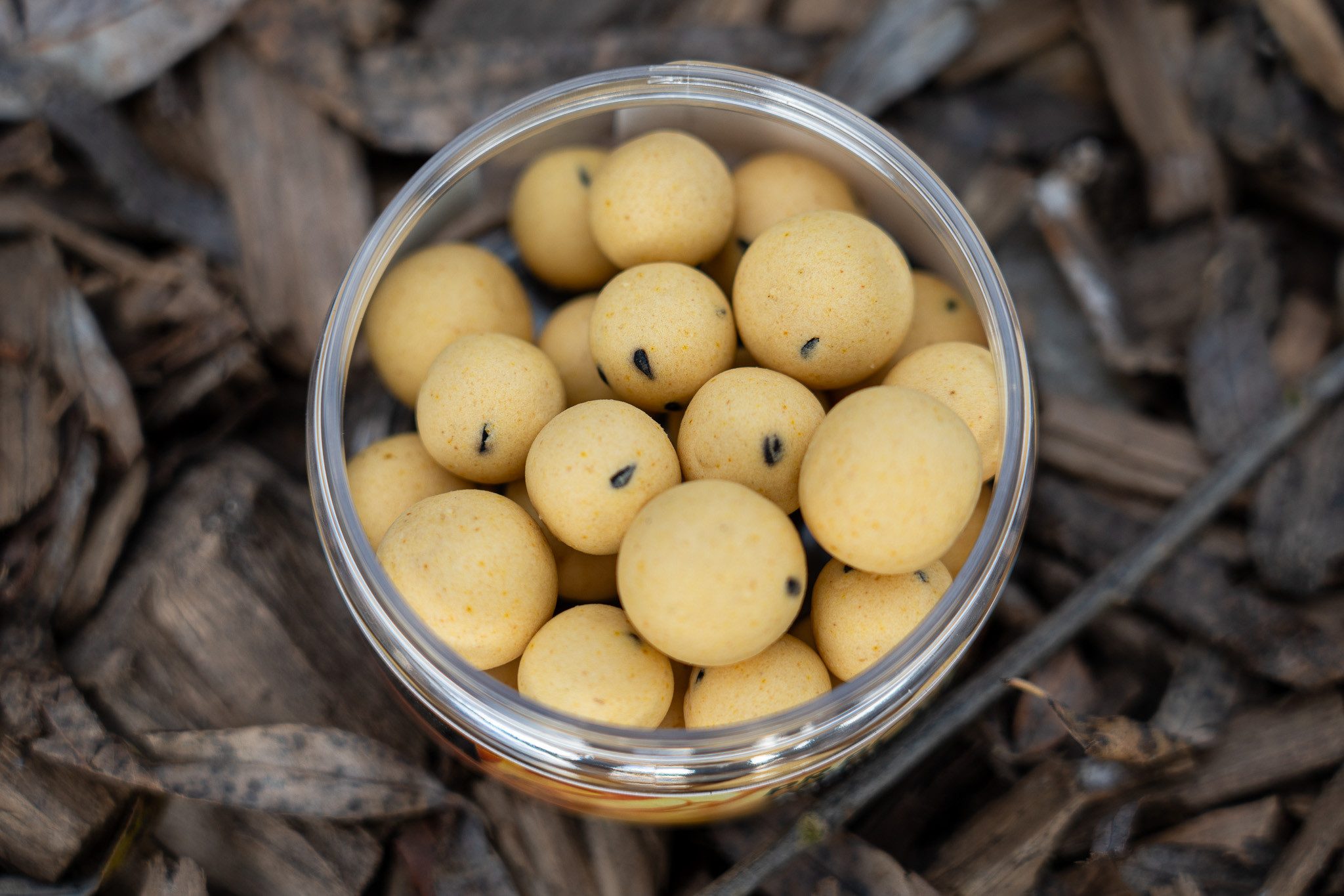 P.R. Baits Kunstköder P.R. Baits Special Edition Pop Ups Boilies - 40g - 14/16mm Karpfen, (Dose), Tolle Farben