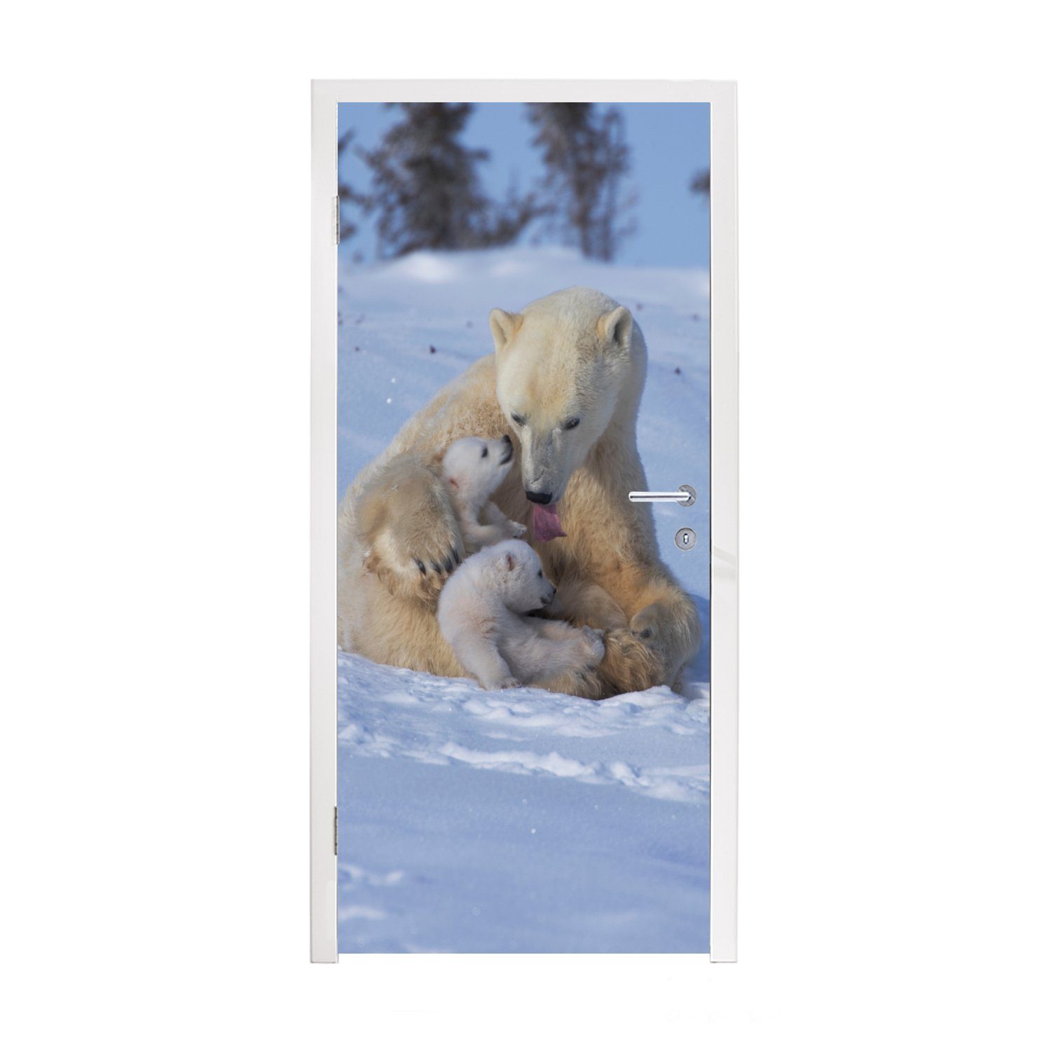 MuchoWow Türtapete Eisbären - Schnee - Weiß, Matt, bedruckt, (1 St), Fototapete für Tür, Türaufkleber, 75x205 cm