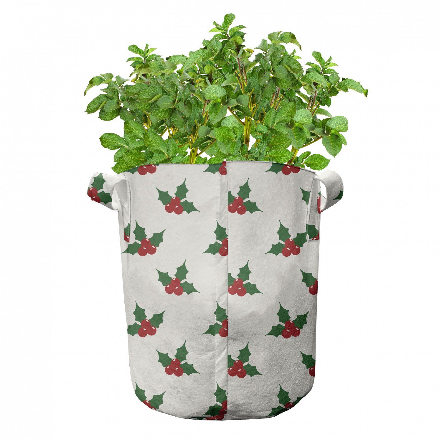 Beeren Pflanzkübel Abakuhaus Weihnachten Pflanzen, Holly für hochleistungsfähig Griffen mit Stofftöpfe