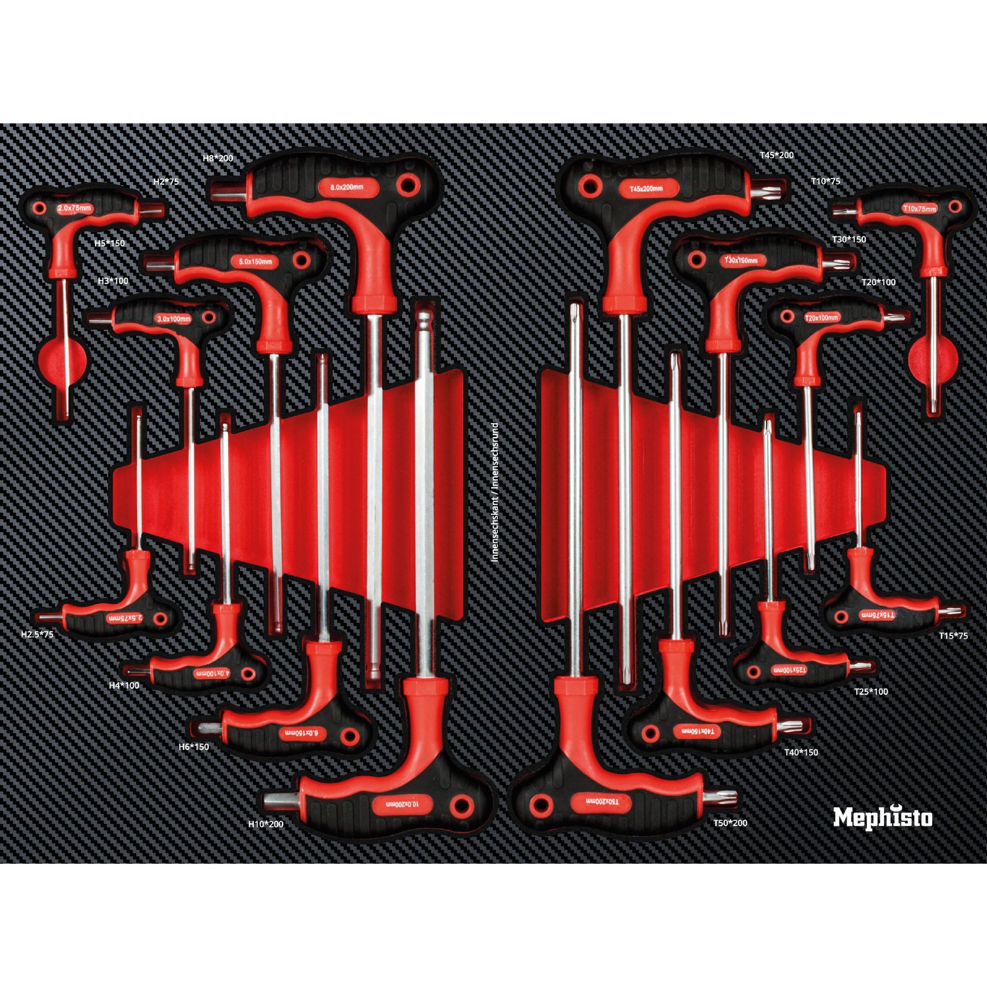 Mephisto-Tools Werkzeugset, (Set), metrisch, inkl. Soft Inlay in Carbon-Optik