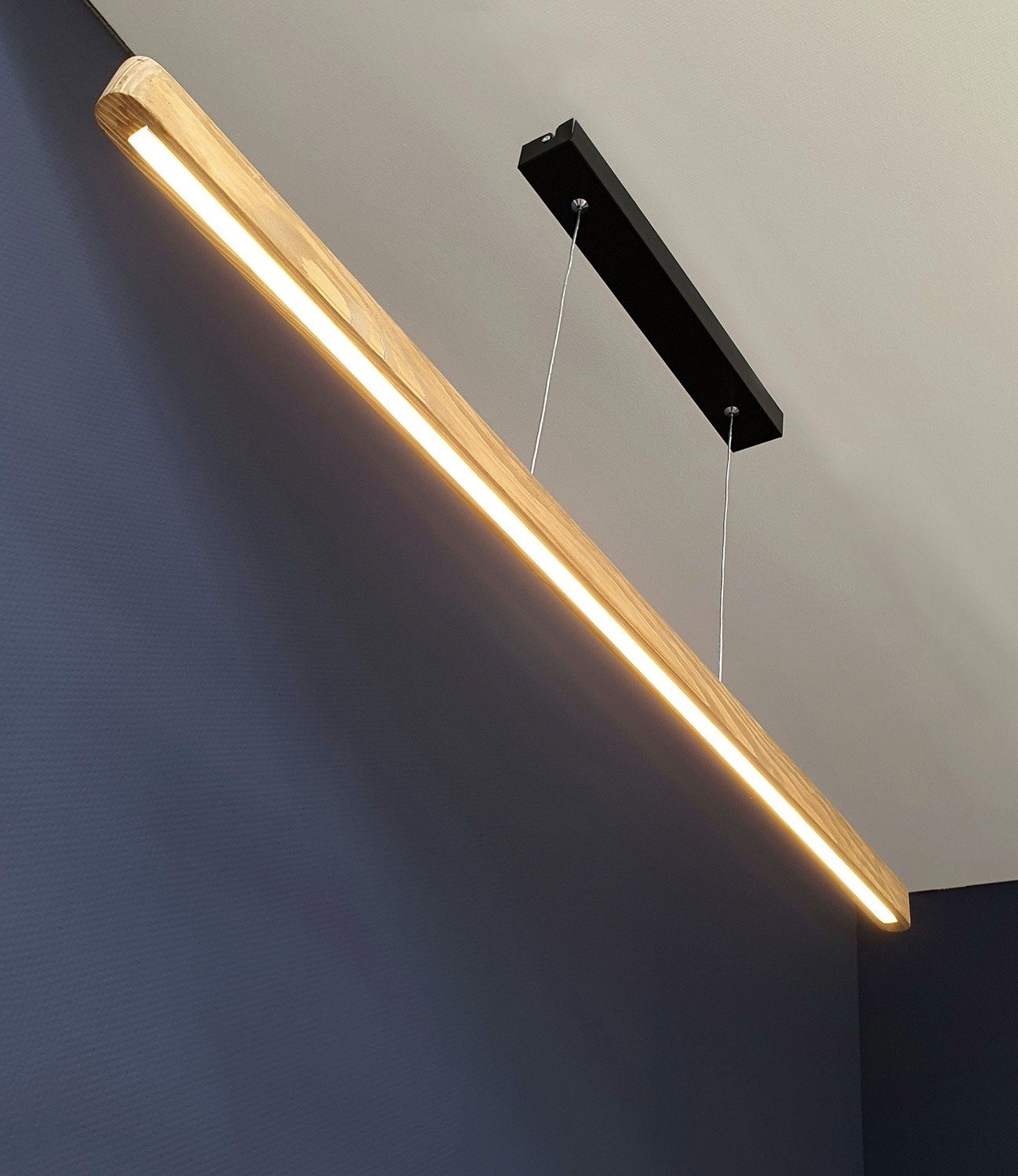SPOT Light LED Pendelleuchte FORESTIER, 1-flammig, günstig online kaufen