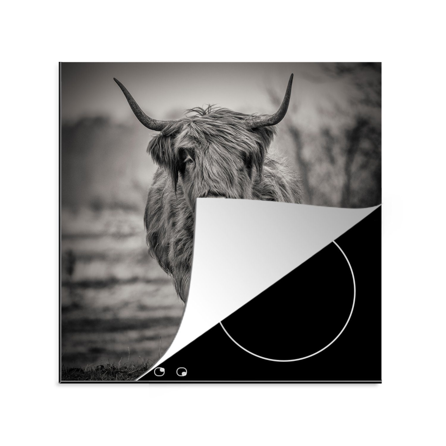 MuchoWow Herdblende-/Abdeckplatte Schottischer Highlander - Schwarz und Weiß, Vinyl, (1 tlg), 78x78 cm, Ceranfeldabdeckung, Arbeitsplatte für küche