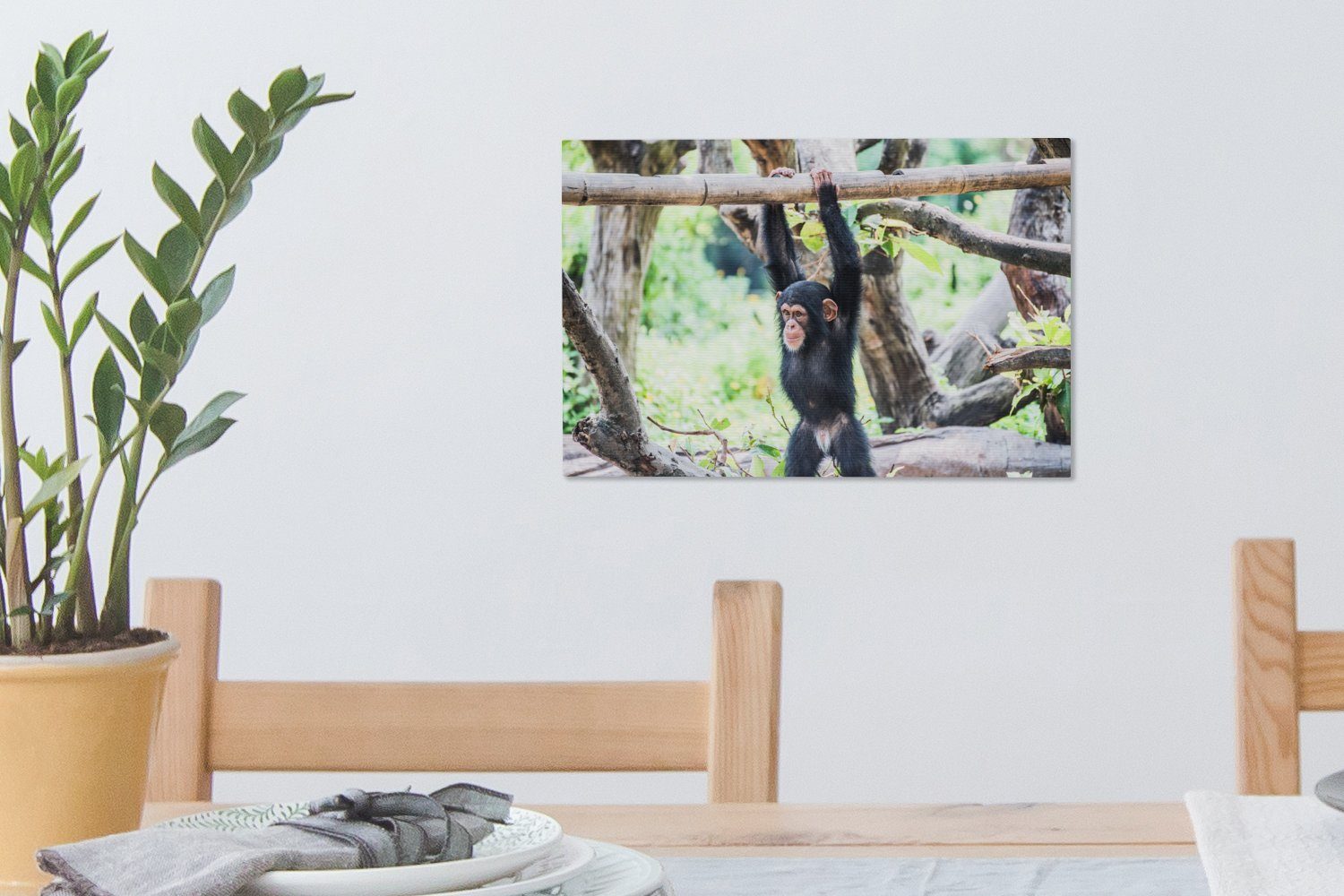 Ein einem cm St), der Leinwandbild junger hängt OneMillionCanvasses® 30x20 inmitten Aufhängefertig, Ast (1 Wandbild Leinwandbilder, Schimpanse Wanddeko, an Natur,