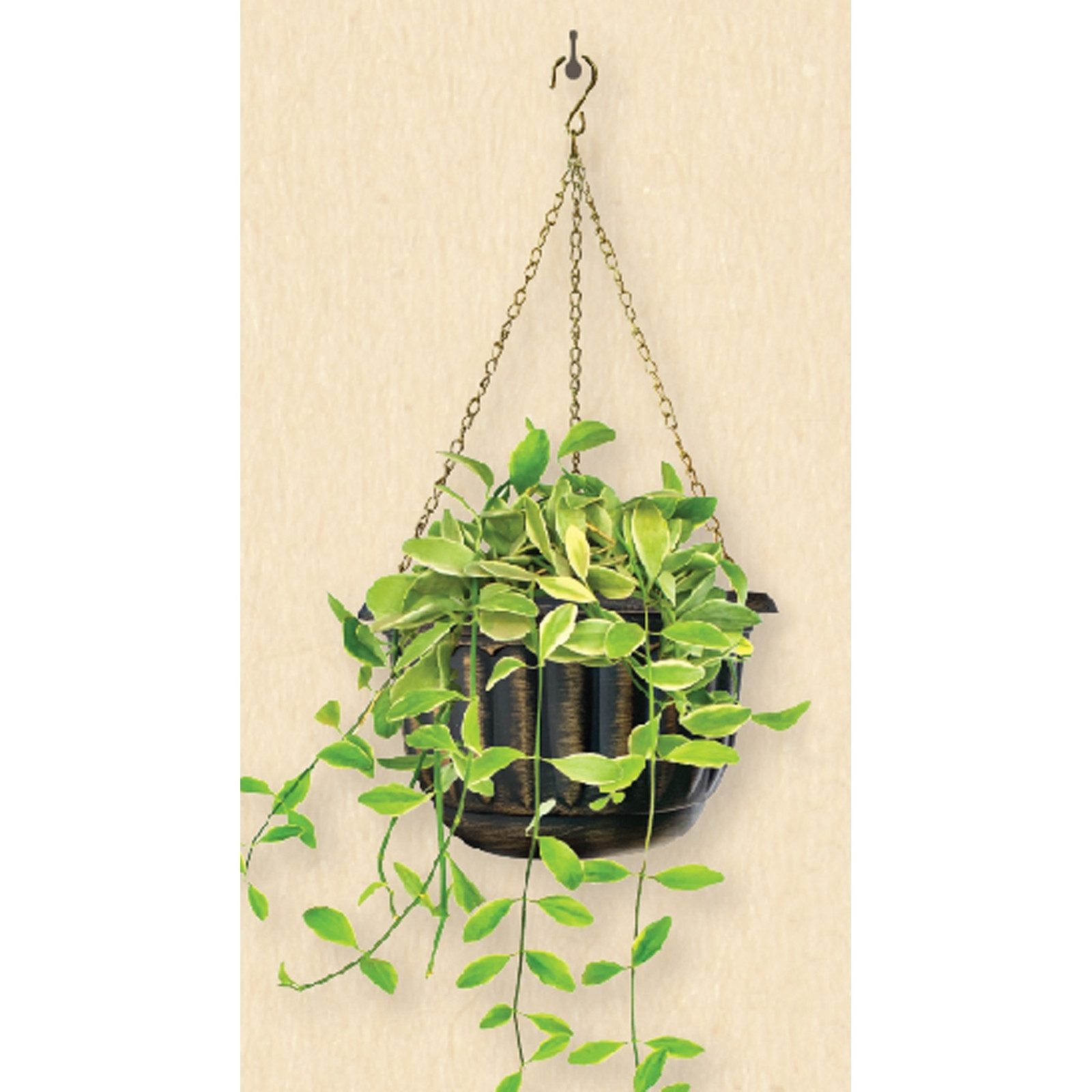 HTI-Living Blumenampel Blumenampel Nessa antik 2er-Set (Stück, 2 St., 2 Blu günstig online kaufen