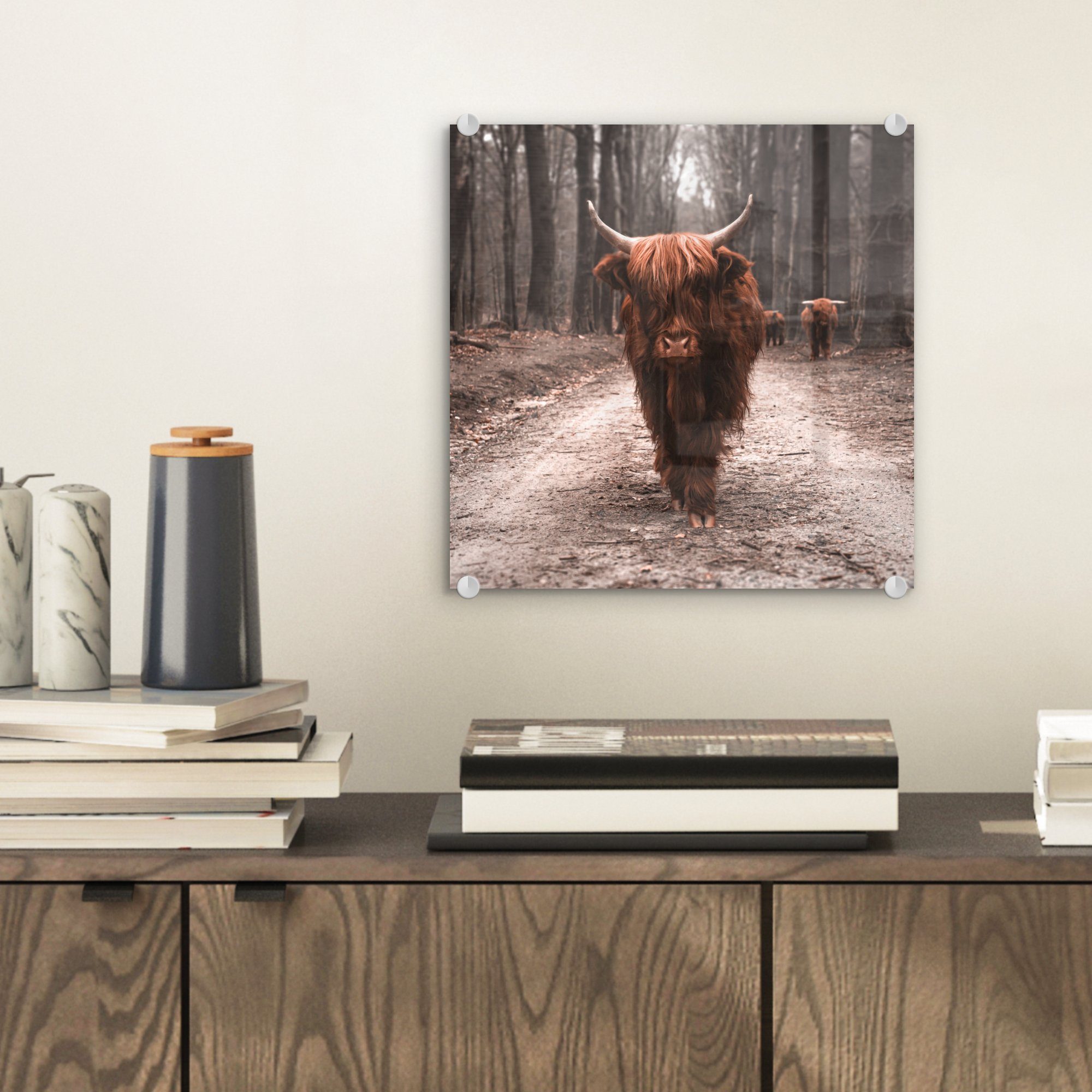 MuchoWow Acrylglasbild Schottischer Hochländer - Wald günstig online kaufen