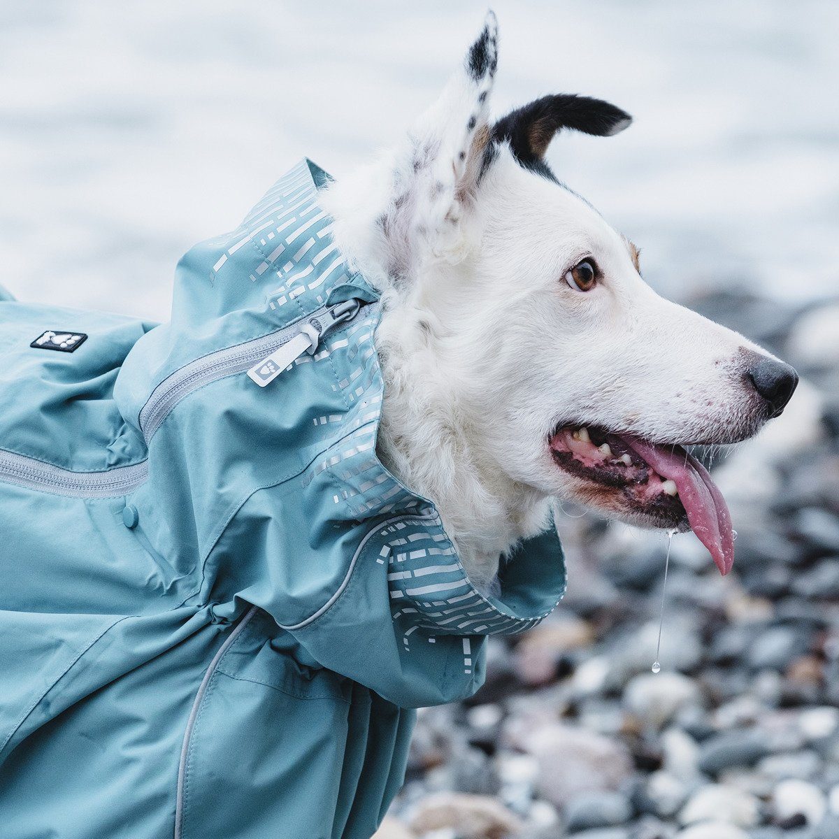 HURTTA Hundeoverall Regen-Overall Rain Blocker hellblau