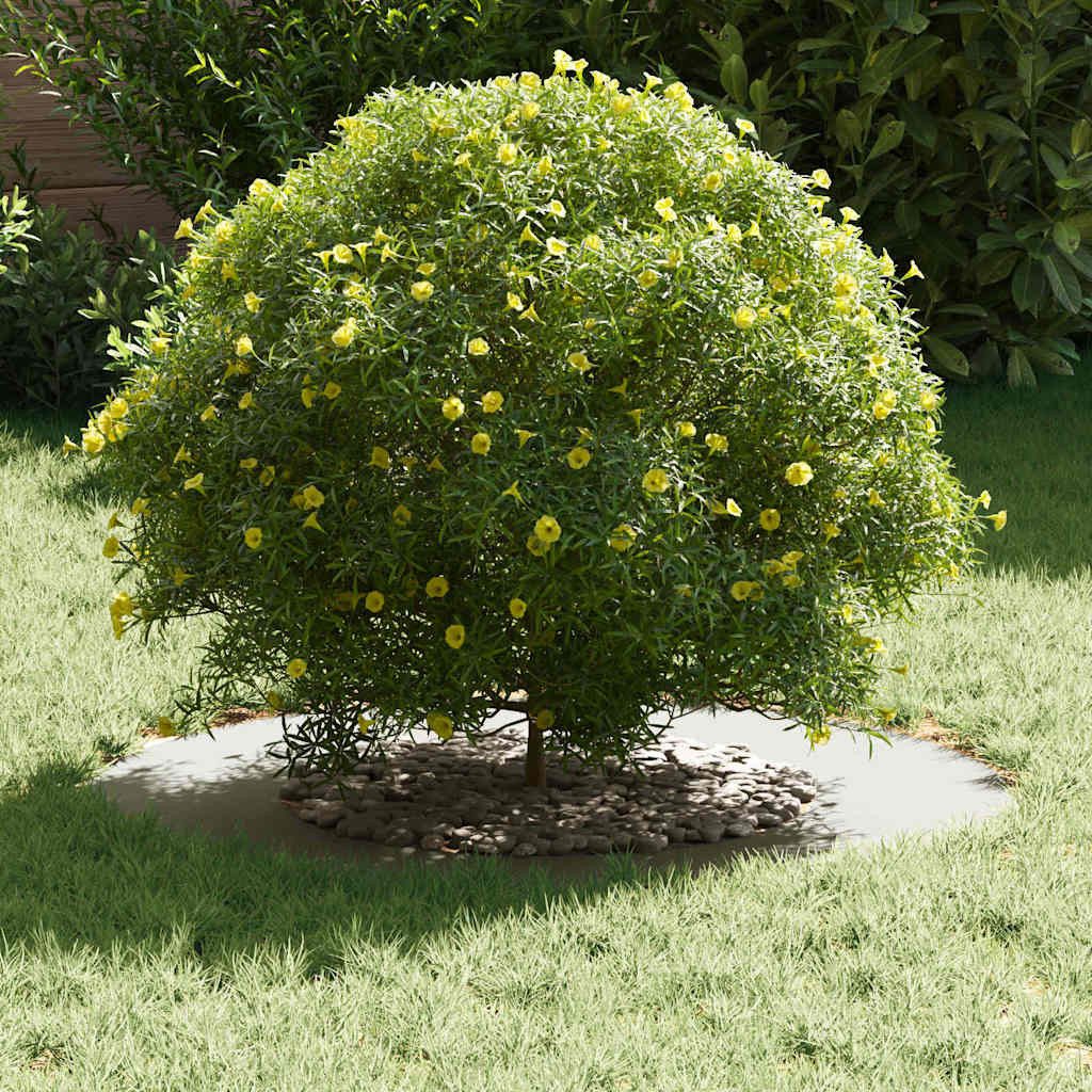 vidaXL Blumentopf Flacher Baumring Weiß Ø40 günstig online kaufen