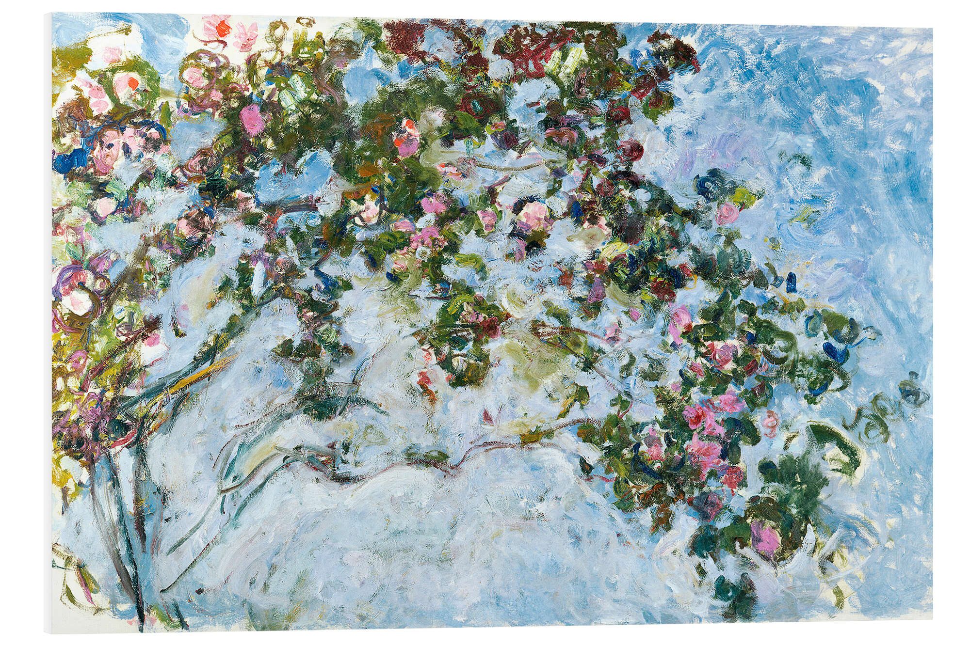 Posterlounge Forex-Bild Claude Monet, Der Rosenstrauch, Wohnzimmer Malerei