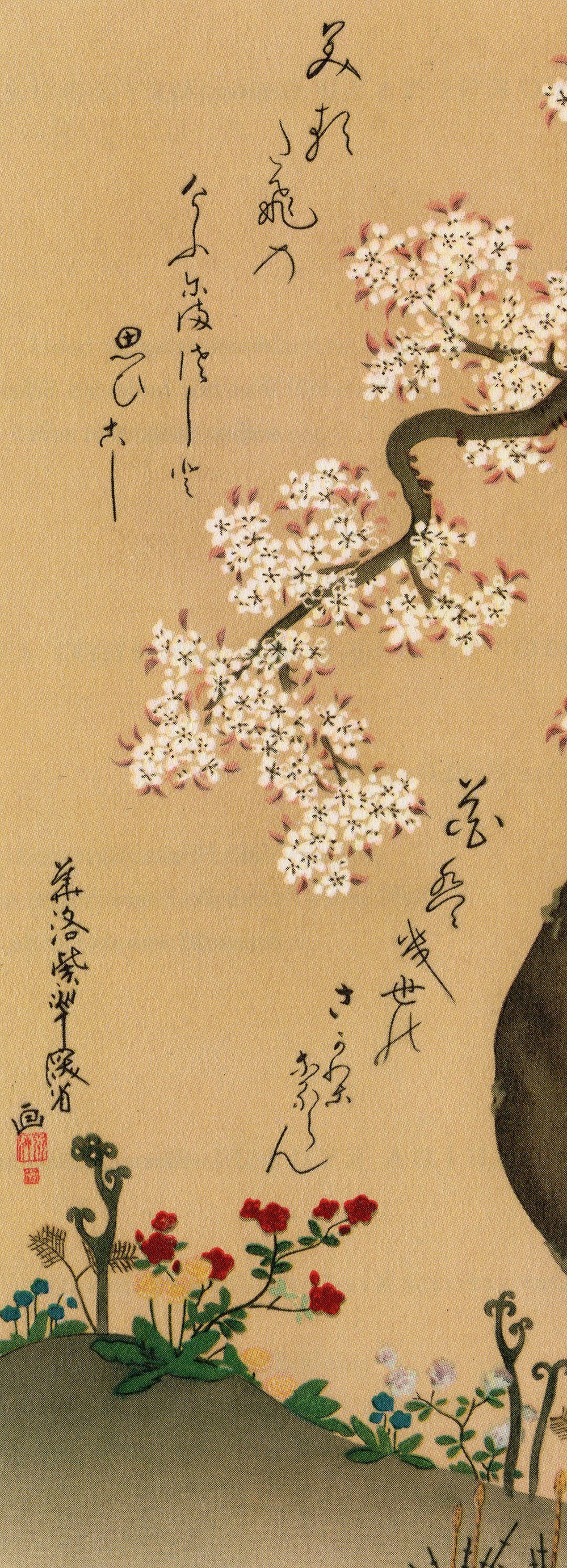 Close Up Poster Cherry Blossom Kunstdruck Ogata Kenzan 15,3 x 42,5 cm