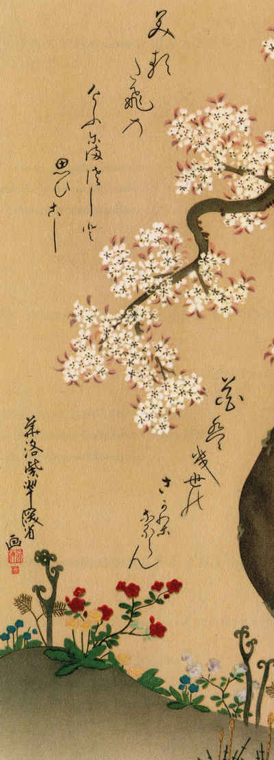 Close Up Kunstdruck Cherry Blossom Kunstdruck Ogata Kenzan 15,3 x 42,5 cm