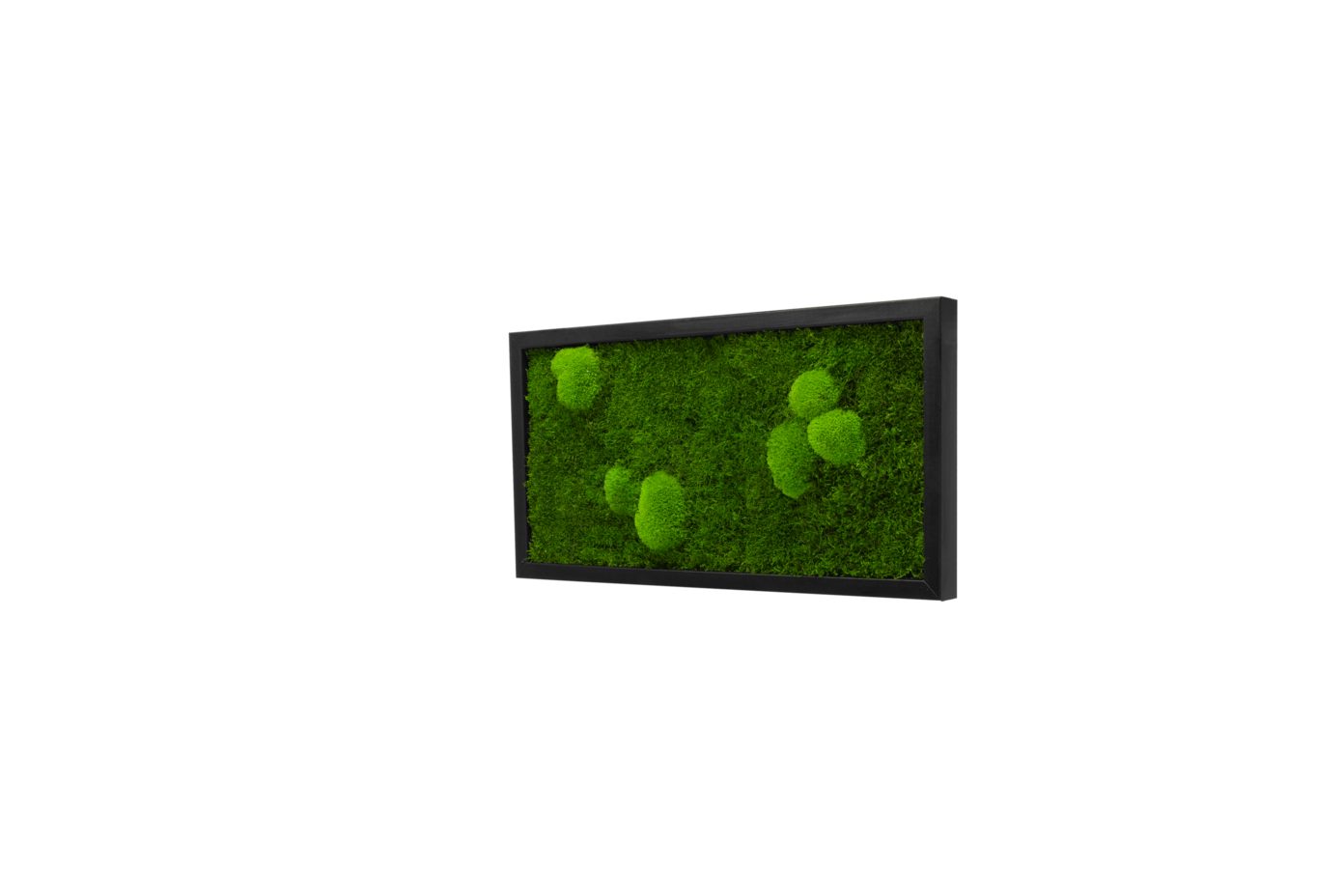 Moos-Design Bilderrahmen Moos Bild Forest Design günstig online kaufen