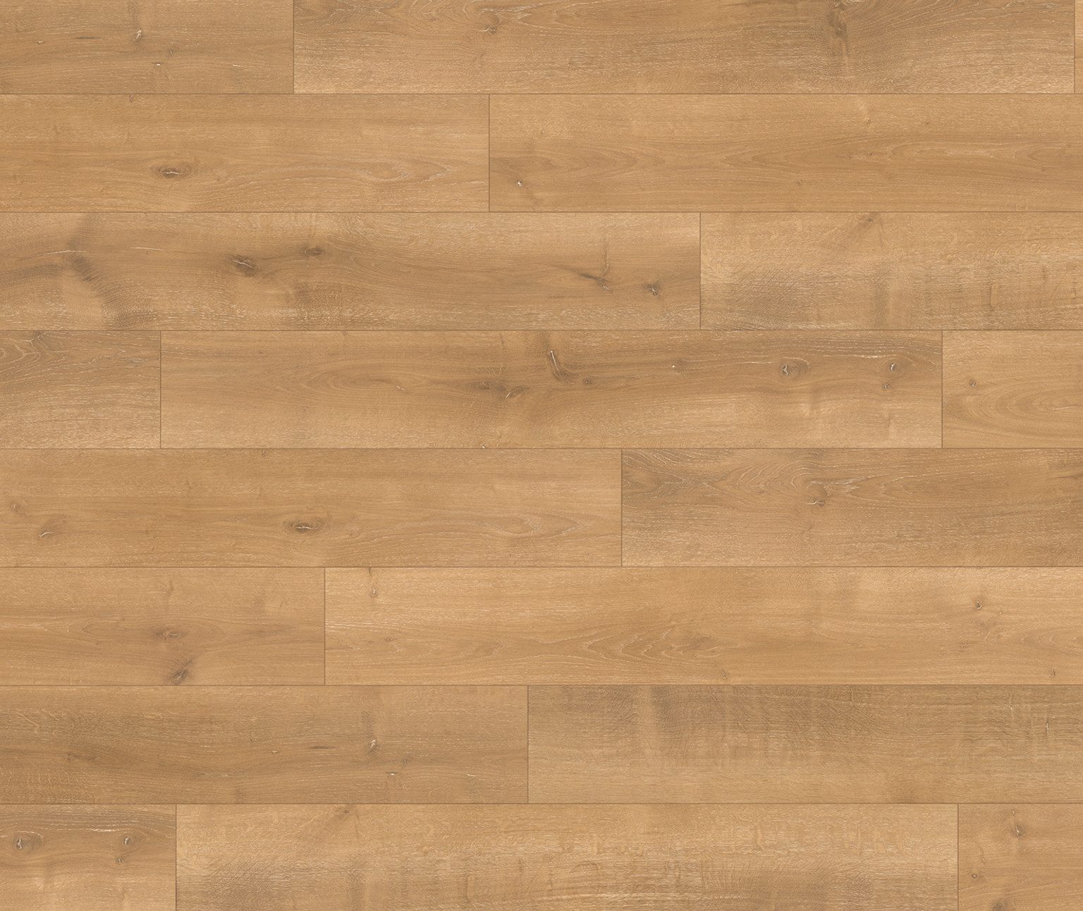 PARADOR Laminat PARADOR Laminat Basic 400 – 8 mm, NKL 23/32, PARADOR Laminat Basic 400: 8 mm, NKL 23/32