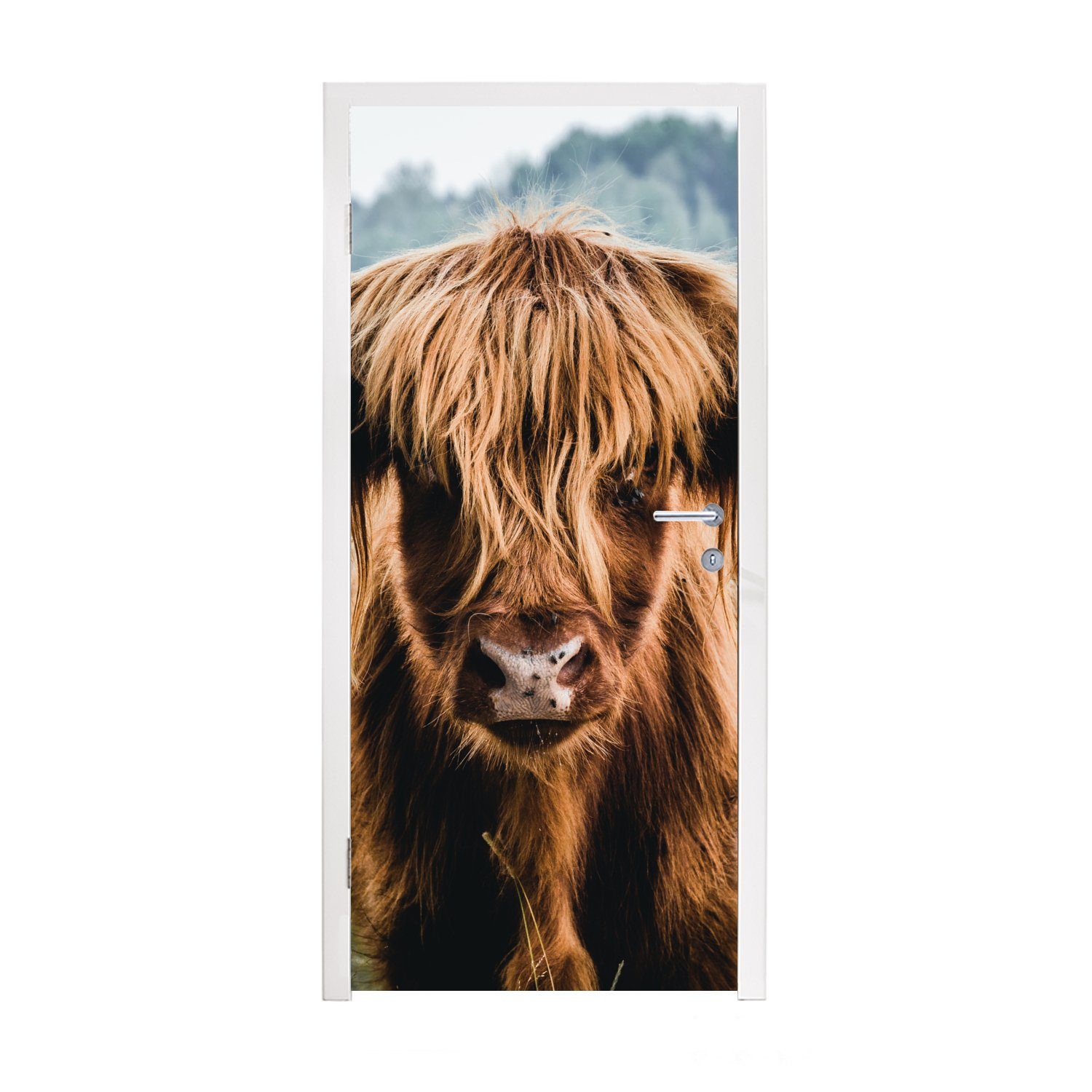 Natur, Braun Türaufkleber, Kühe für Schottische - cm - St), (1 Fototapete Matt, 75x205 Hochlandbewohner - Tür, bedruckt, Türtapete MuchoWow