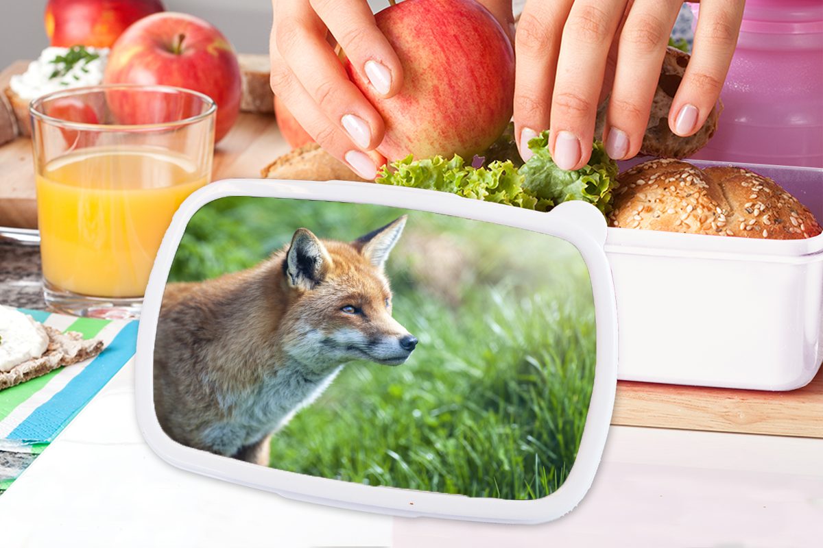 MuchoWow Lunchbox Tiere - weiß für Fuchs, und Brotdose, Mädchen Erwachsene, Brotbox Kunststoff, Gras - für und Jungs Kinder (2-tlg)